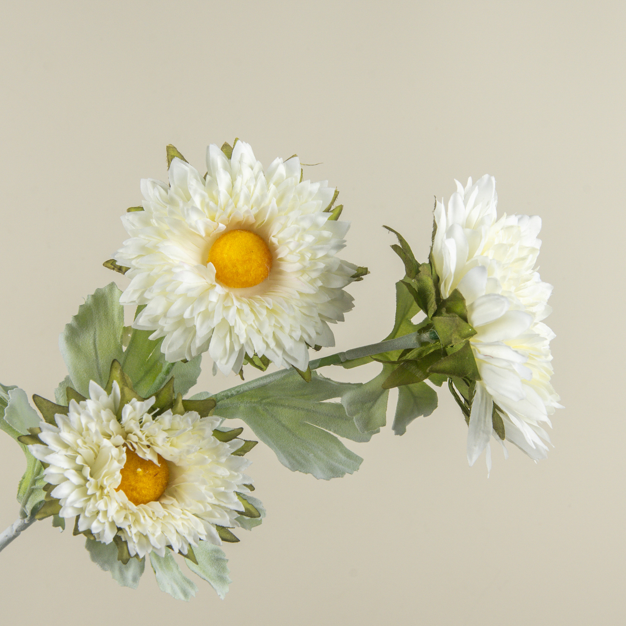 Cream Garden Mum Stem, 25.5", photo 3 of 4