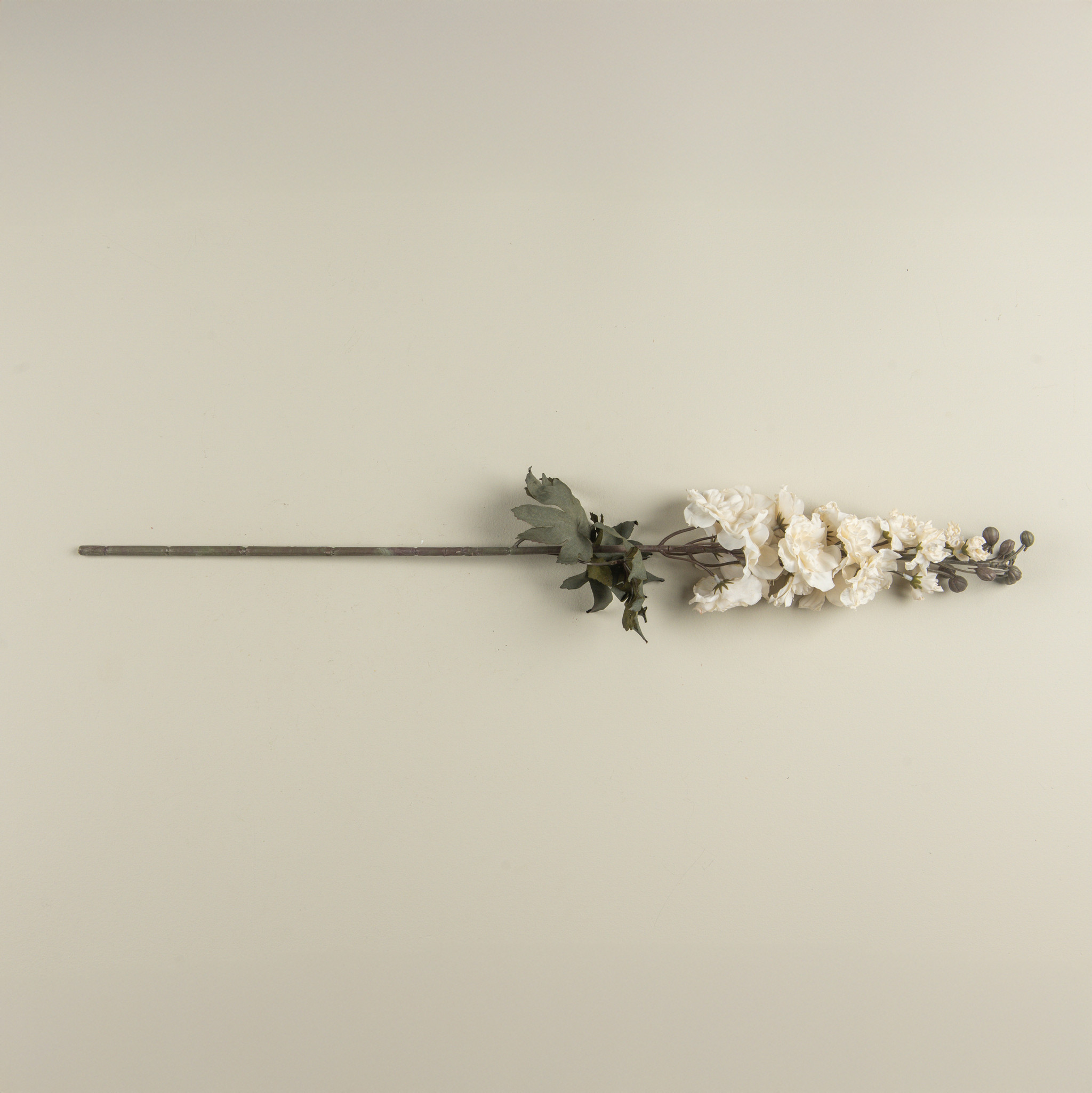 Cream Larkspur Stem, 31.5", photo 4 of 5
