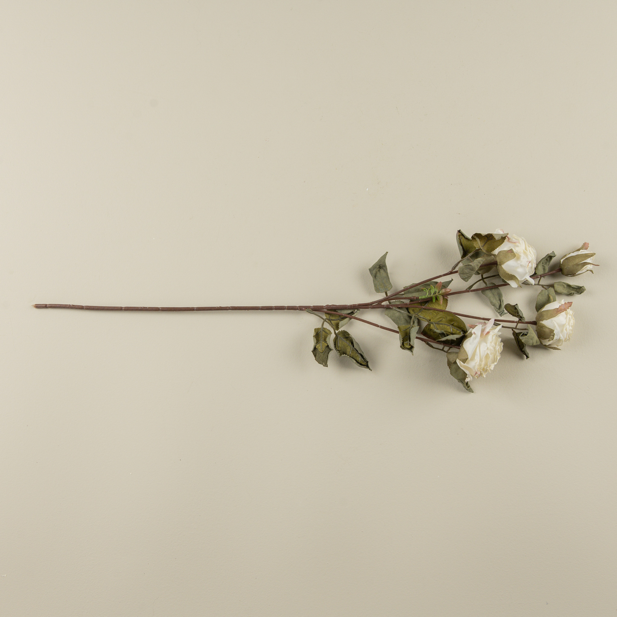 Cream Dried Rose Spray, 27.25", photo 4 of 4