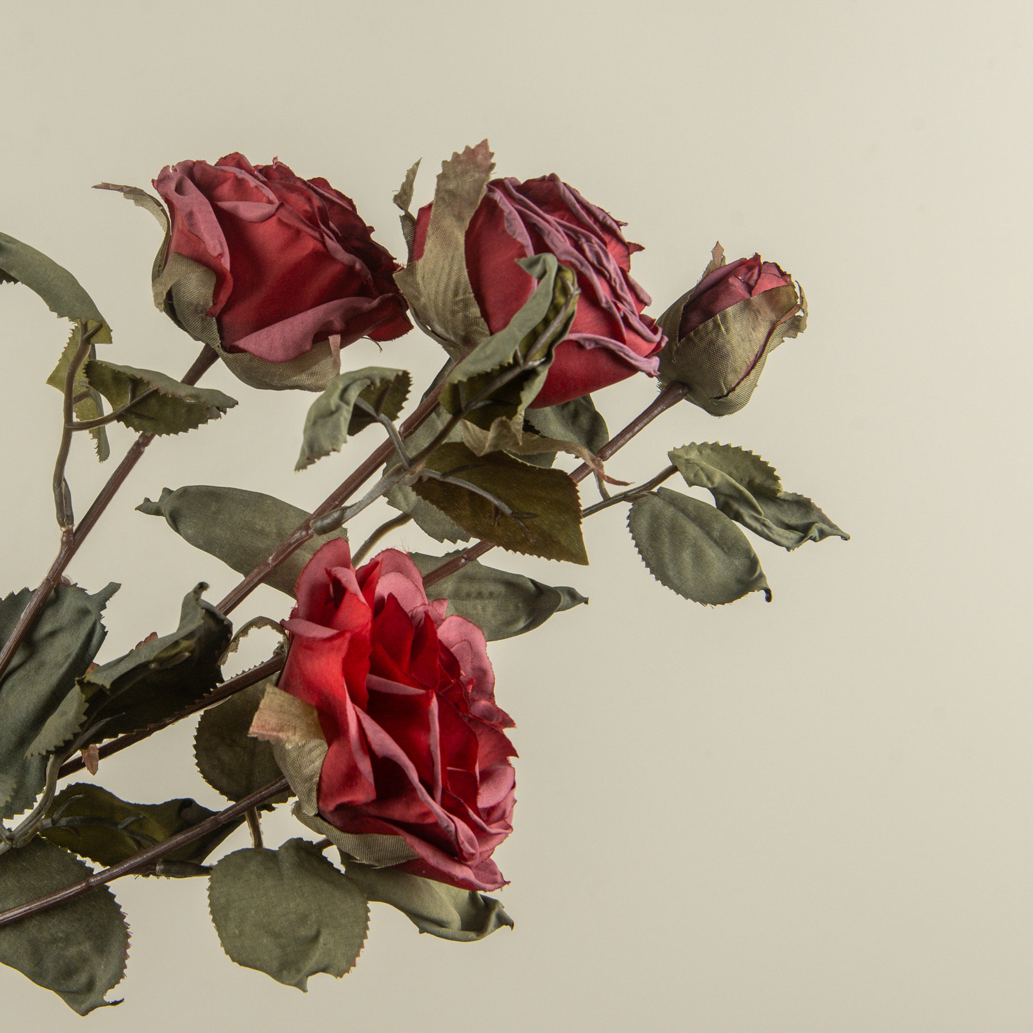 Wine Dried Rose Spray, 27.25", photo 3 of 4