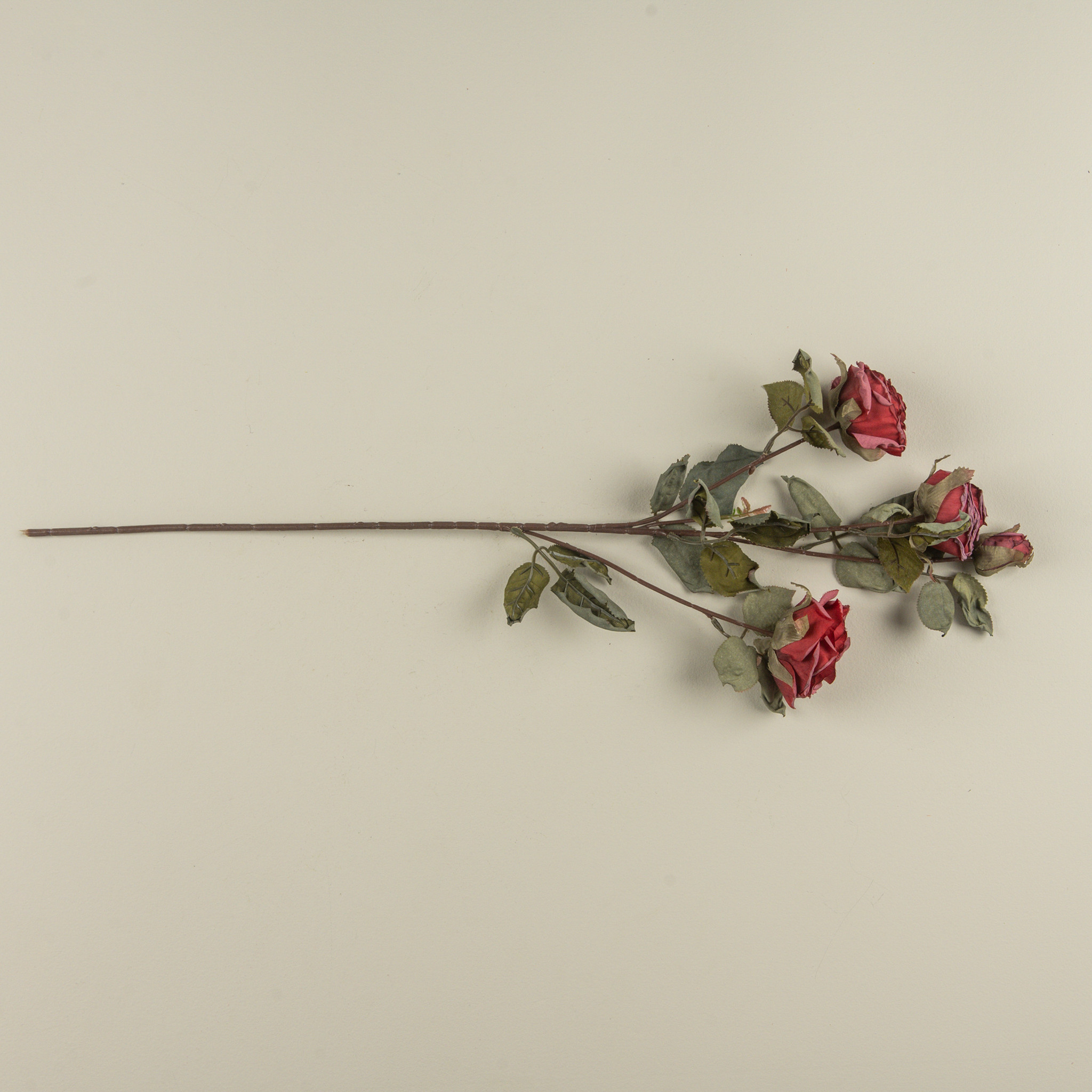 Wine Dried Rose Spray, 27.25", photo 4 of 4