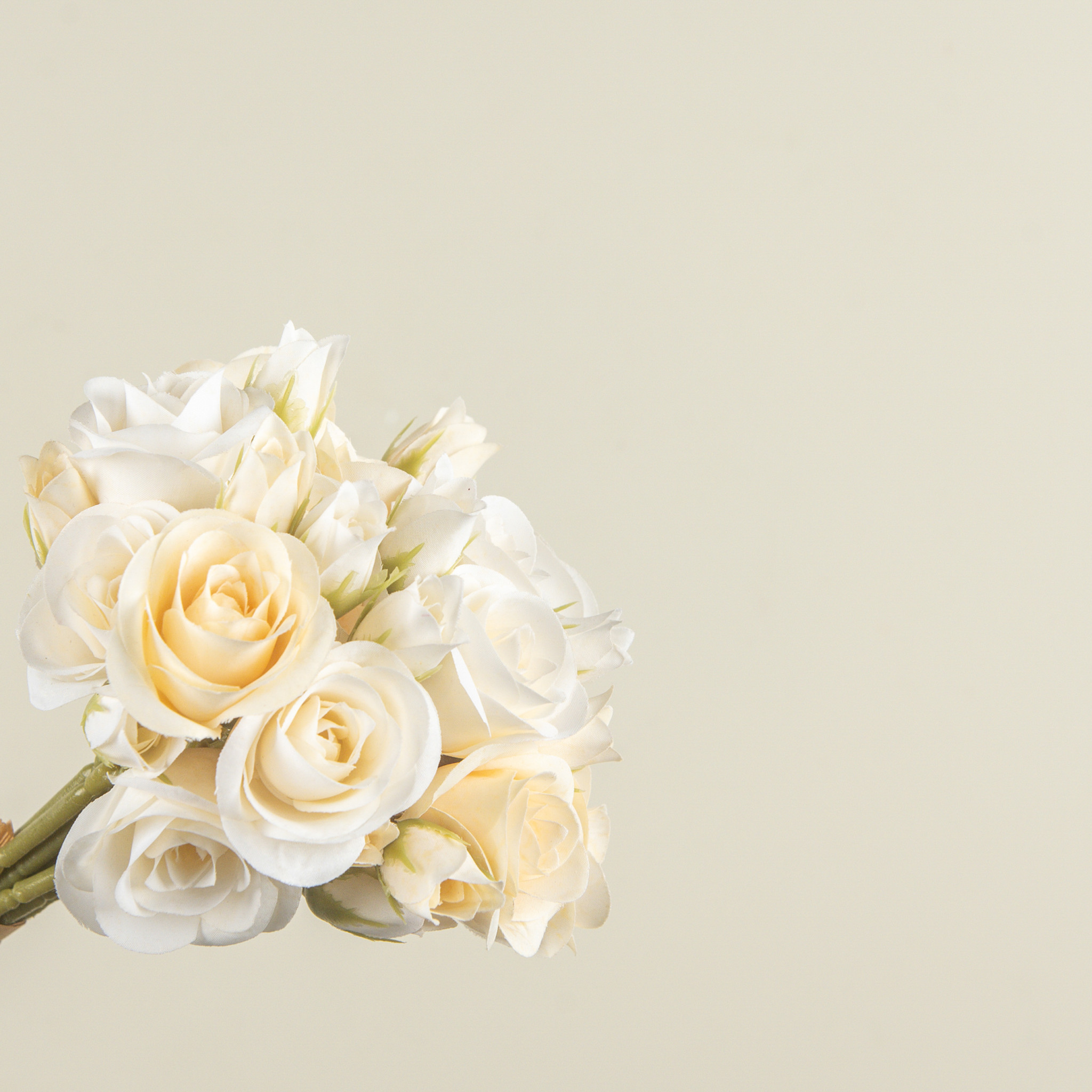 Cream Mini Rose Bundle, 12", photo 3 of 4