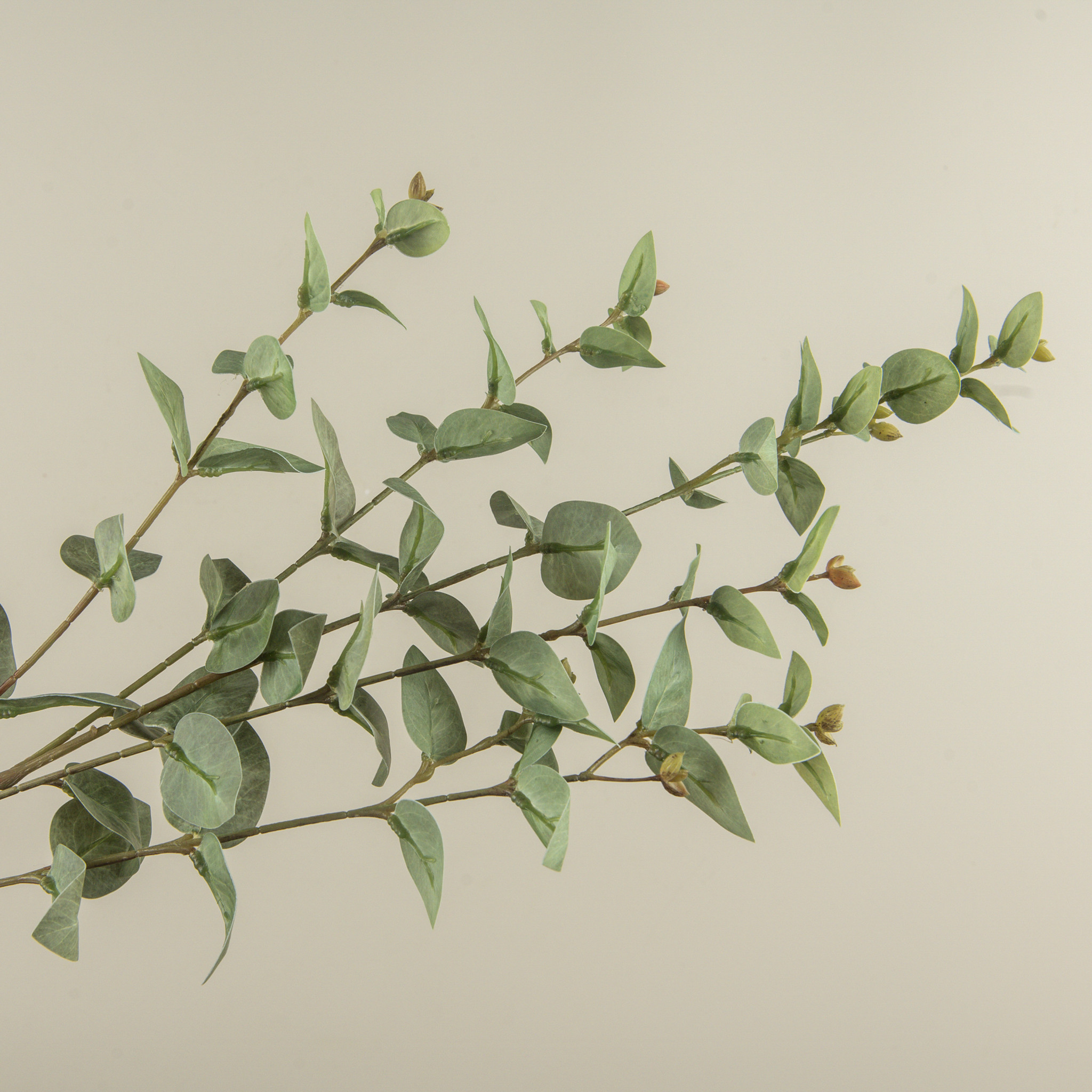 Dusty Green Jasmine Leaf Spray, 35.5", photo 3 of 4