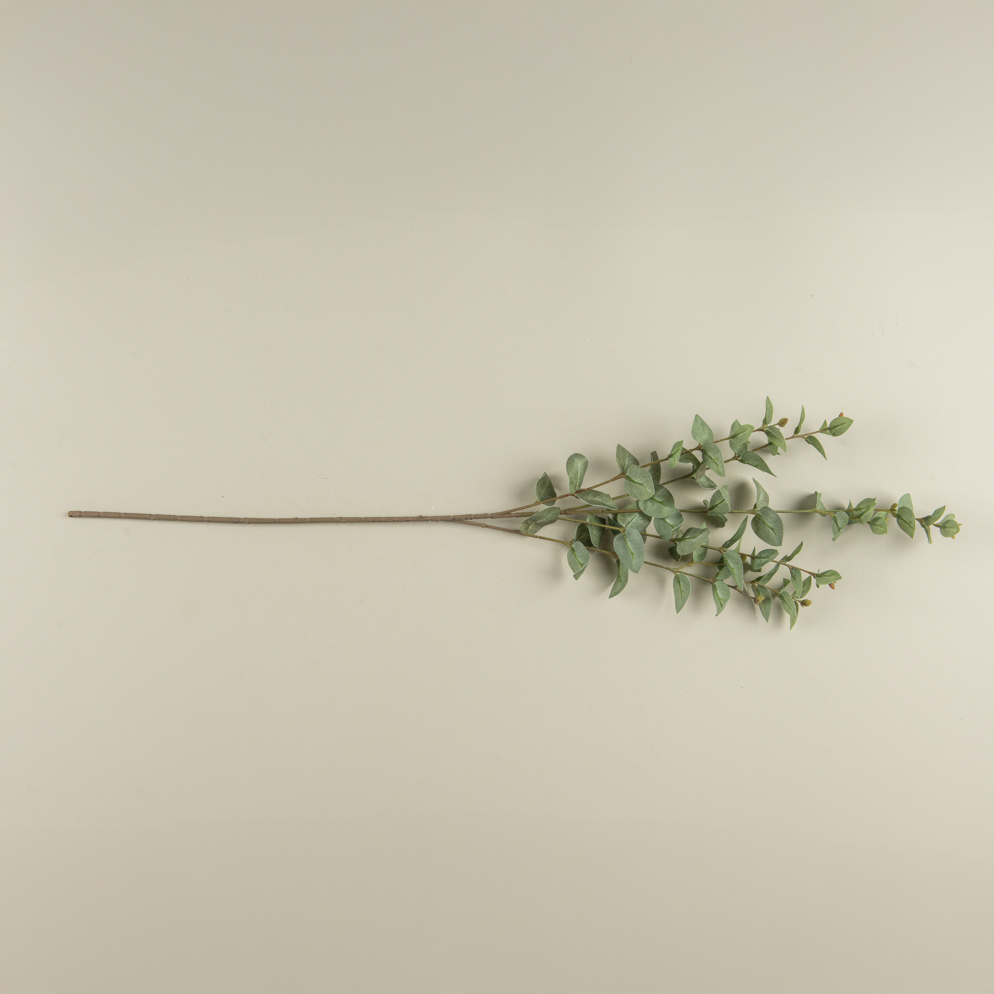 Dusty Green Jasmine Leaf Spray, 35.5", photo 4 of 4