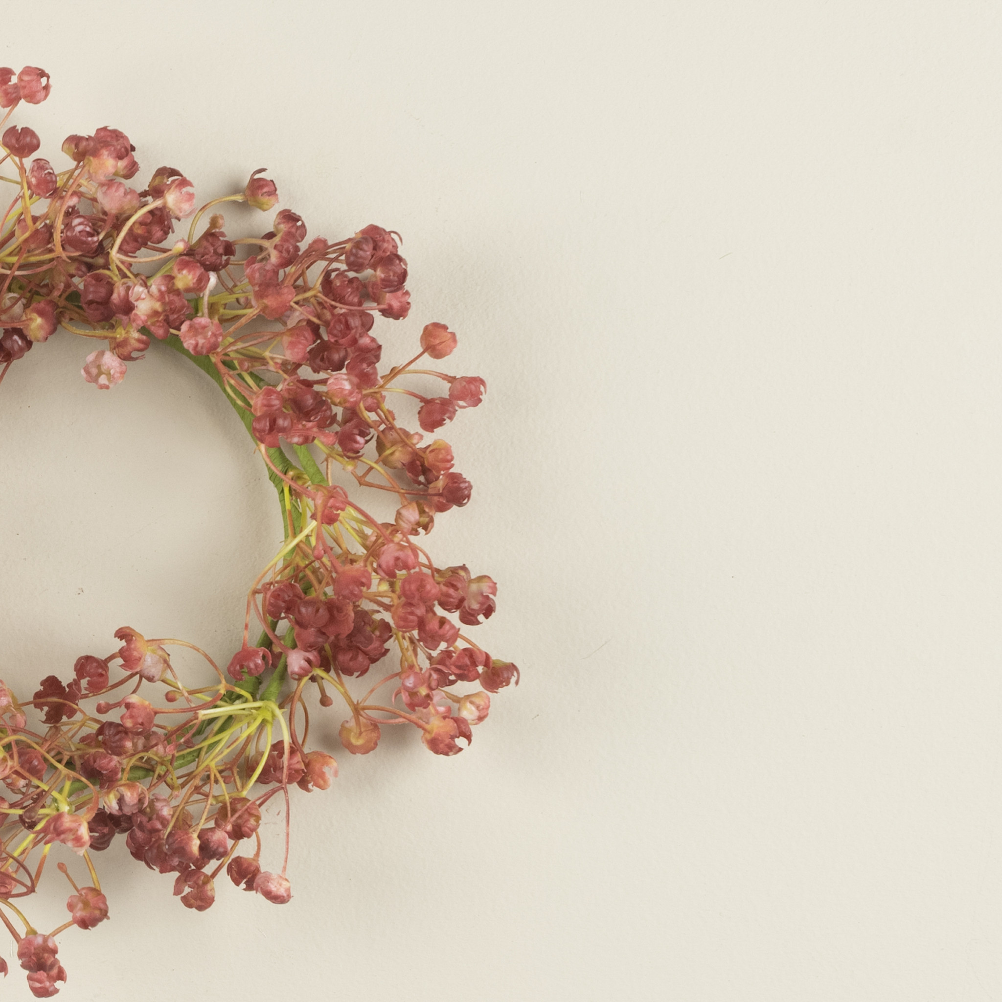 Wine Baby's Breath Candle Ring, 8", photo 2 of 3