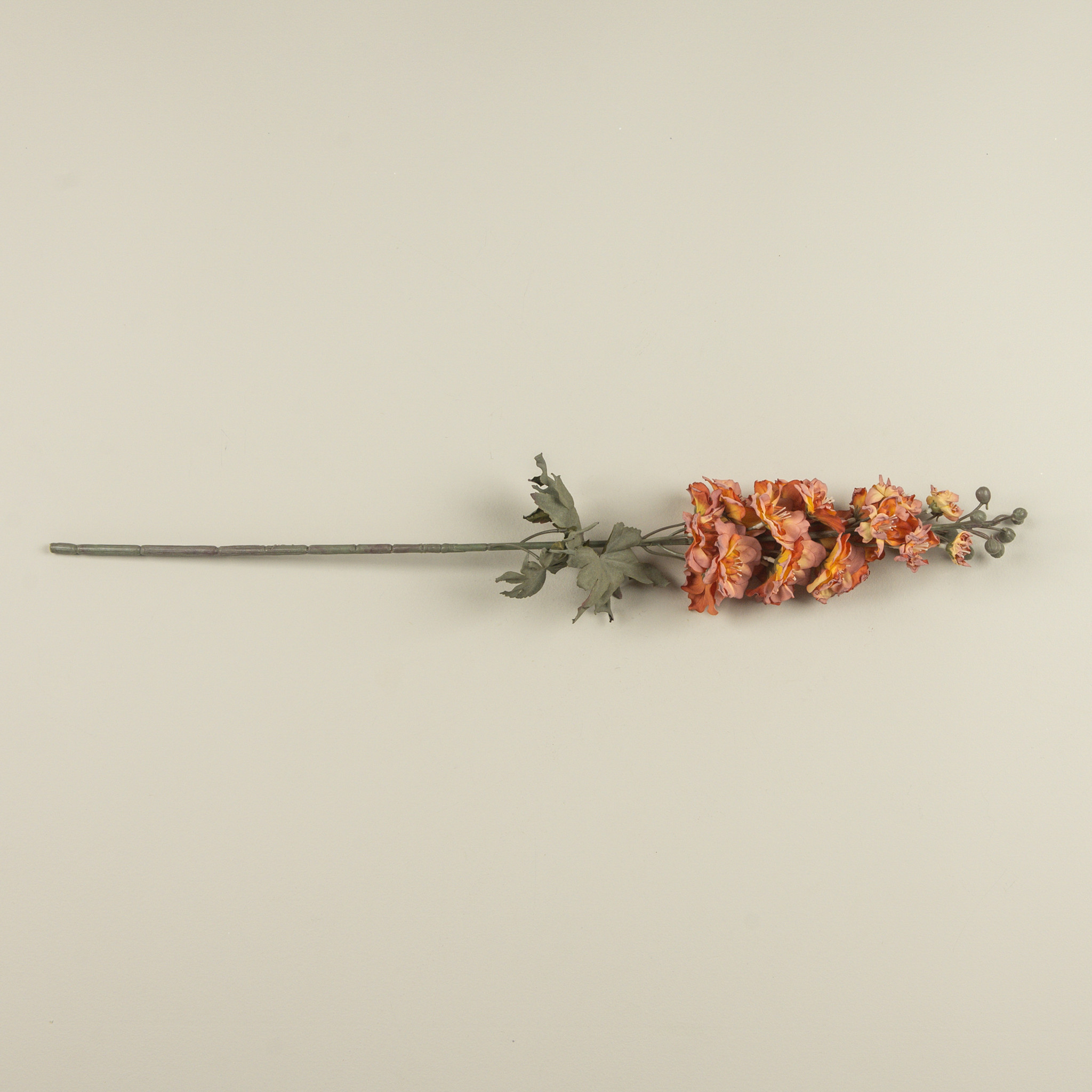 Orange & Pink Dried Larkspur Stem, 31.5", photo 4 of 4