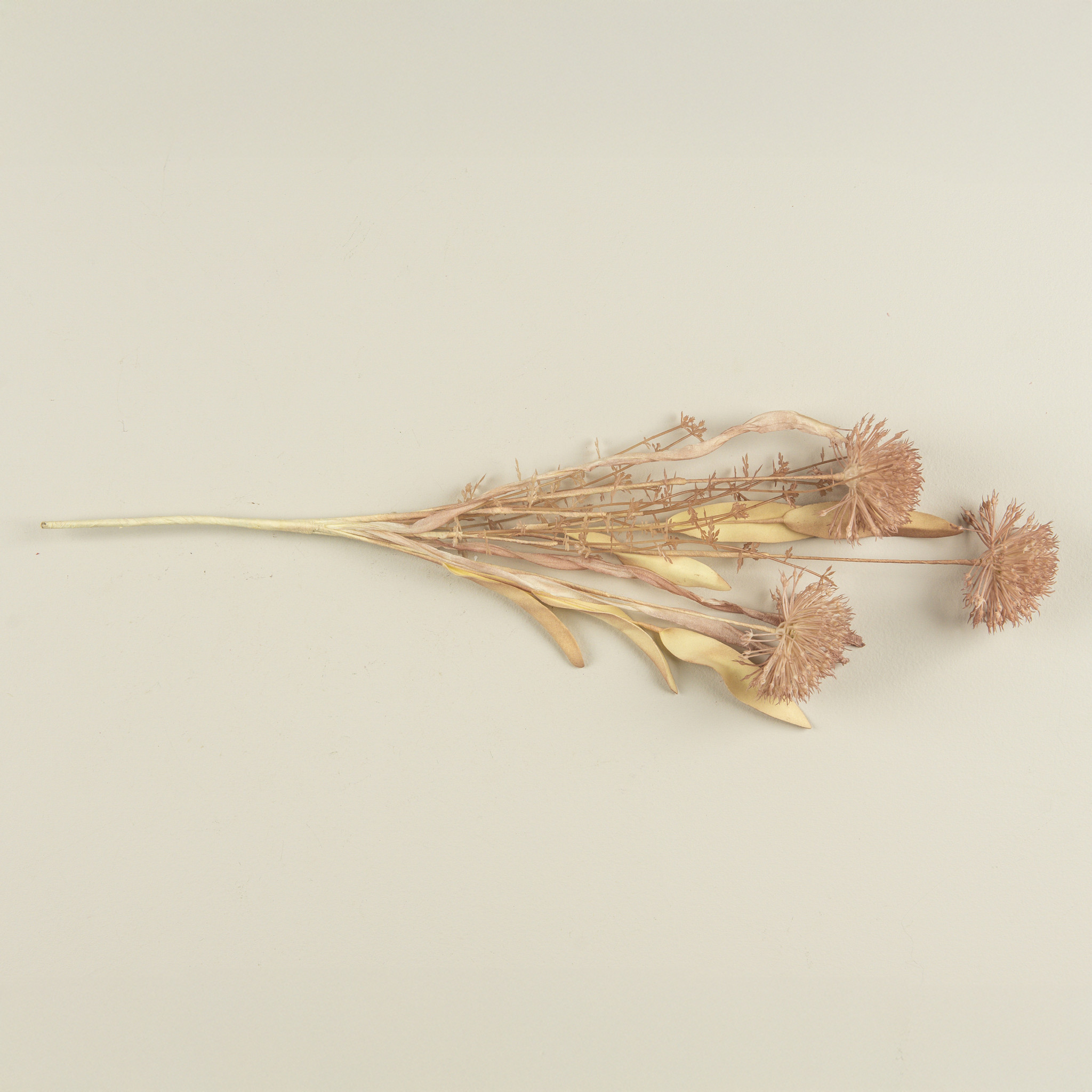 Rosewood Wild Leek Spray, 20.5", photo 4 of 4