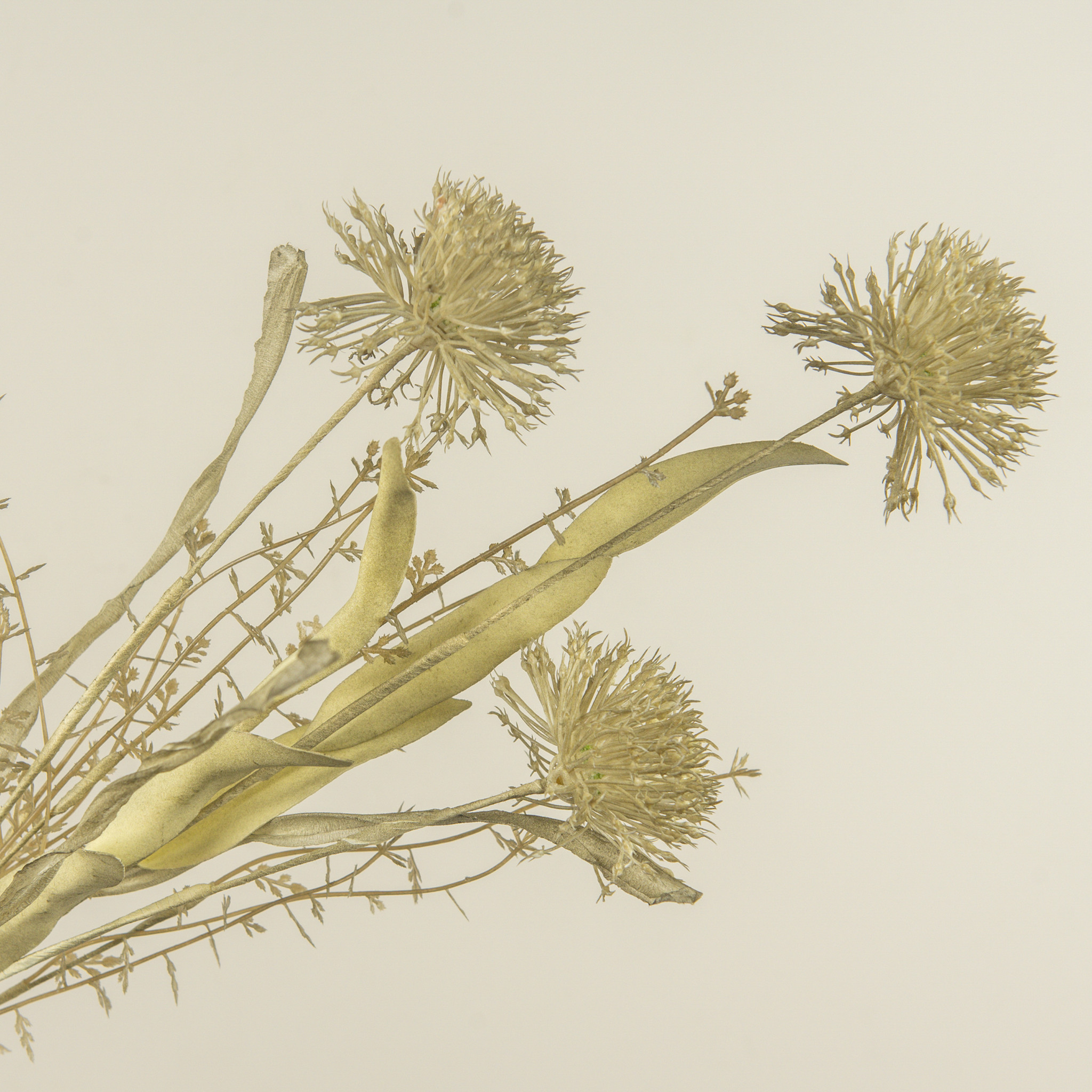 Fernwood Wild Leek Spray, 20.5", photo 3 of 4