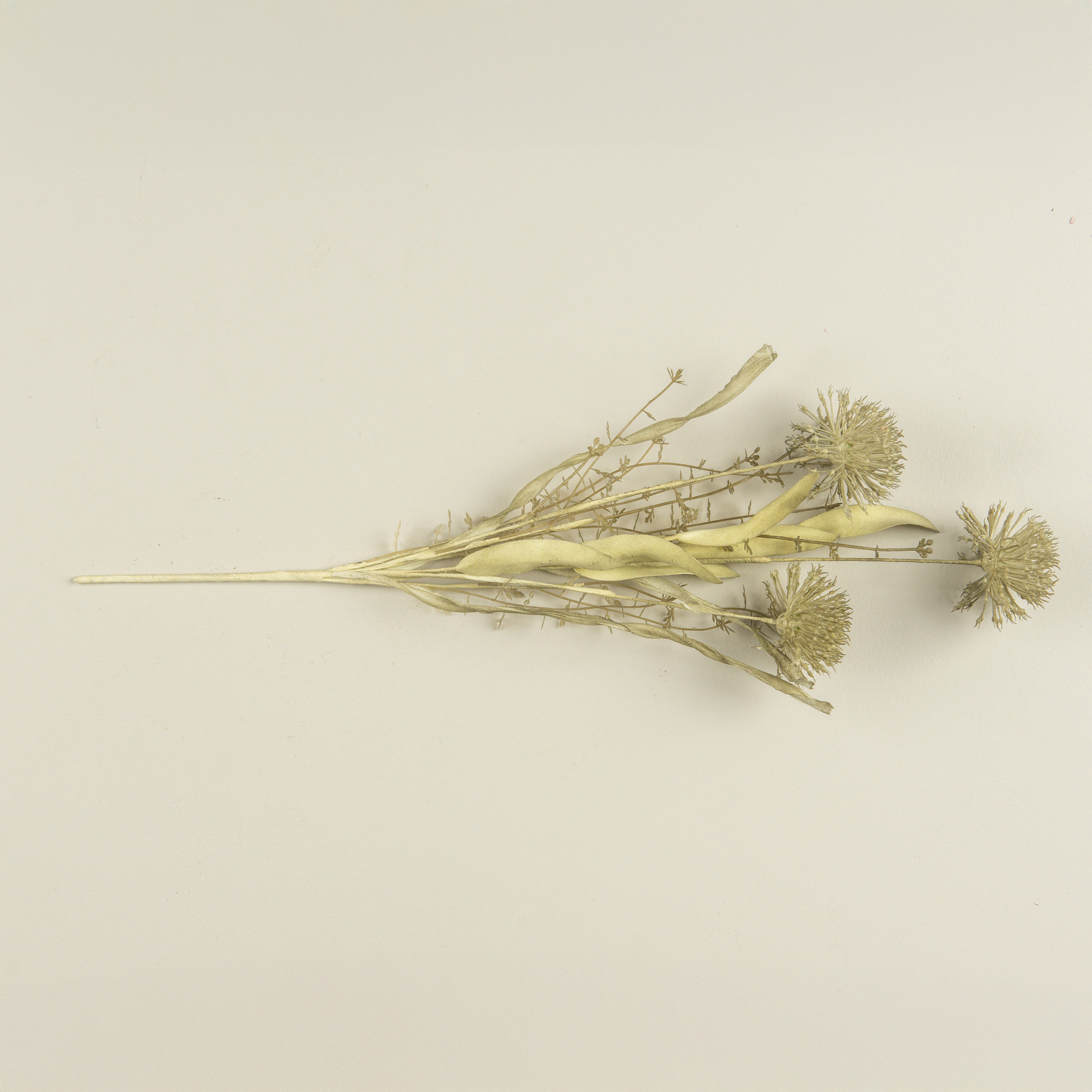 Fernwood Wild Leek Spray, 20.5", photo 4 of 4