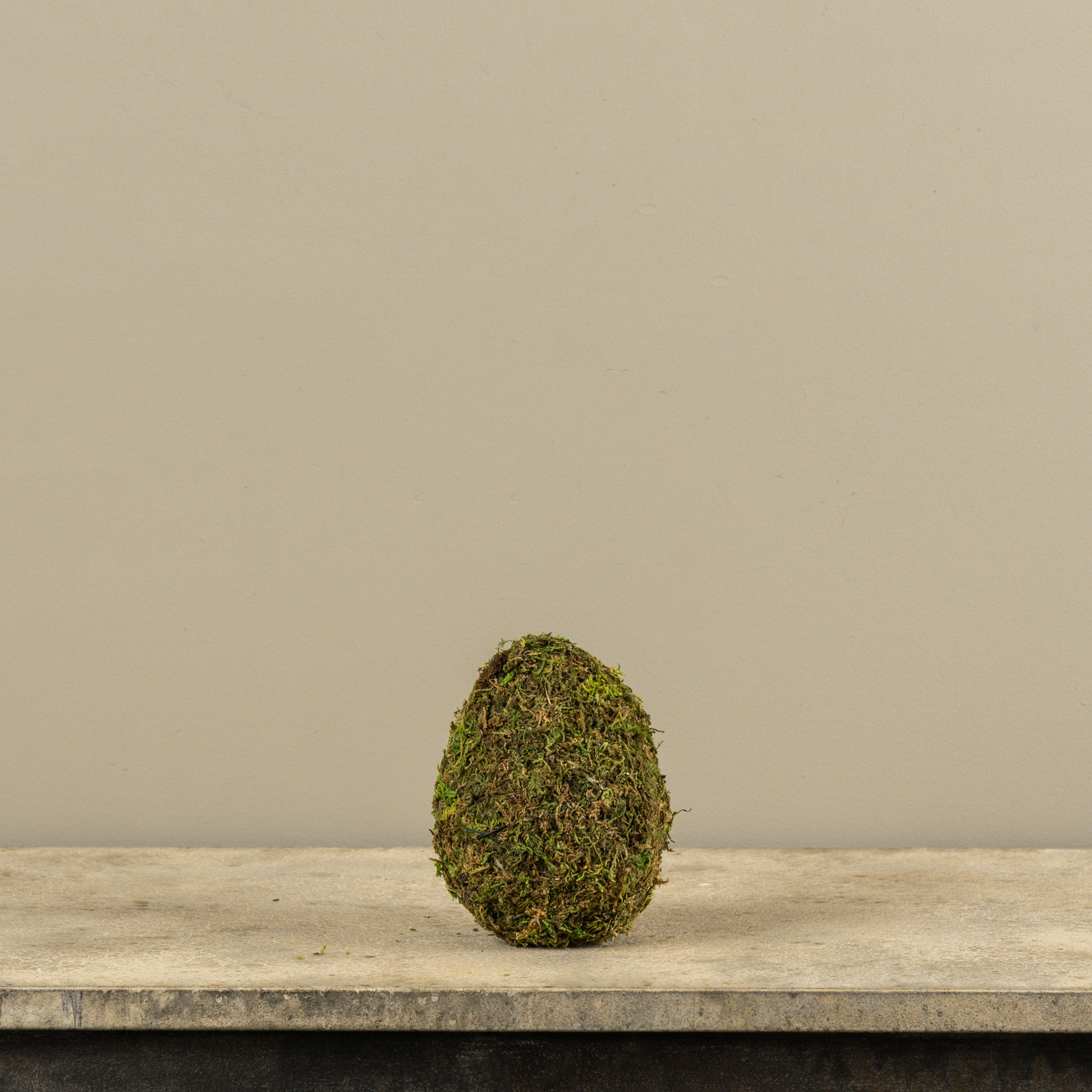 Sitting Moss Egg, 6", photo 2 of 3