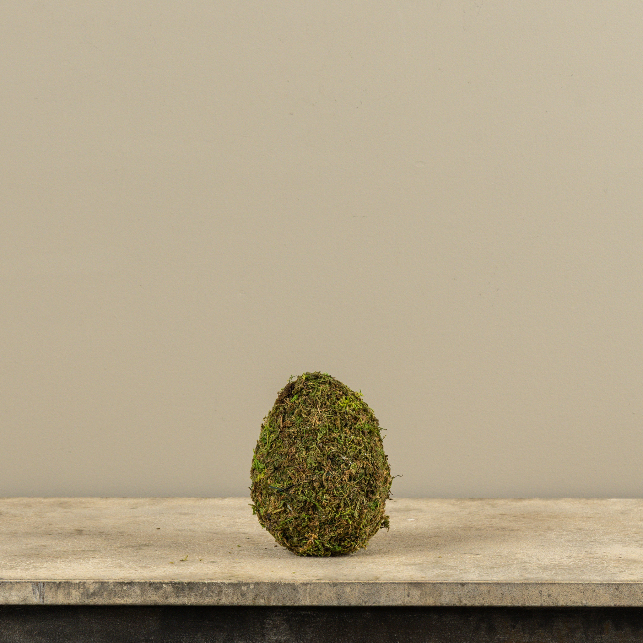 Sitting Moss Egg, 6", photo 3 of 3
