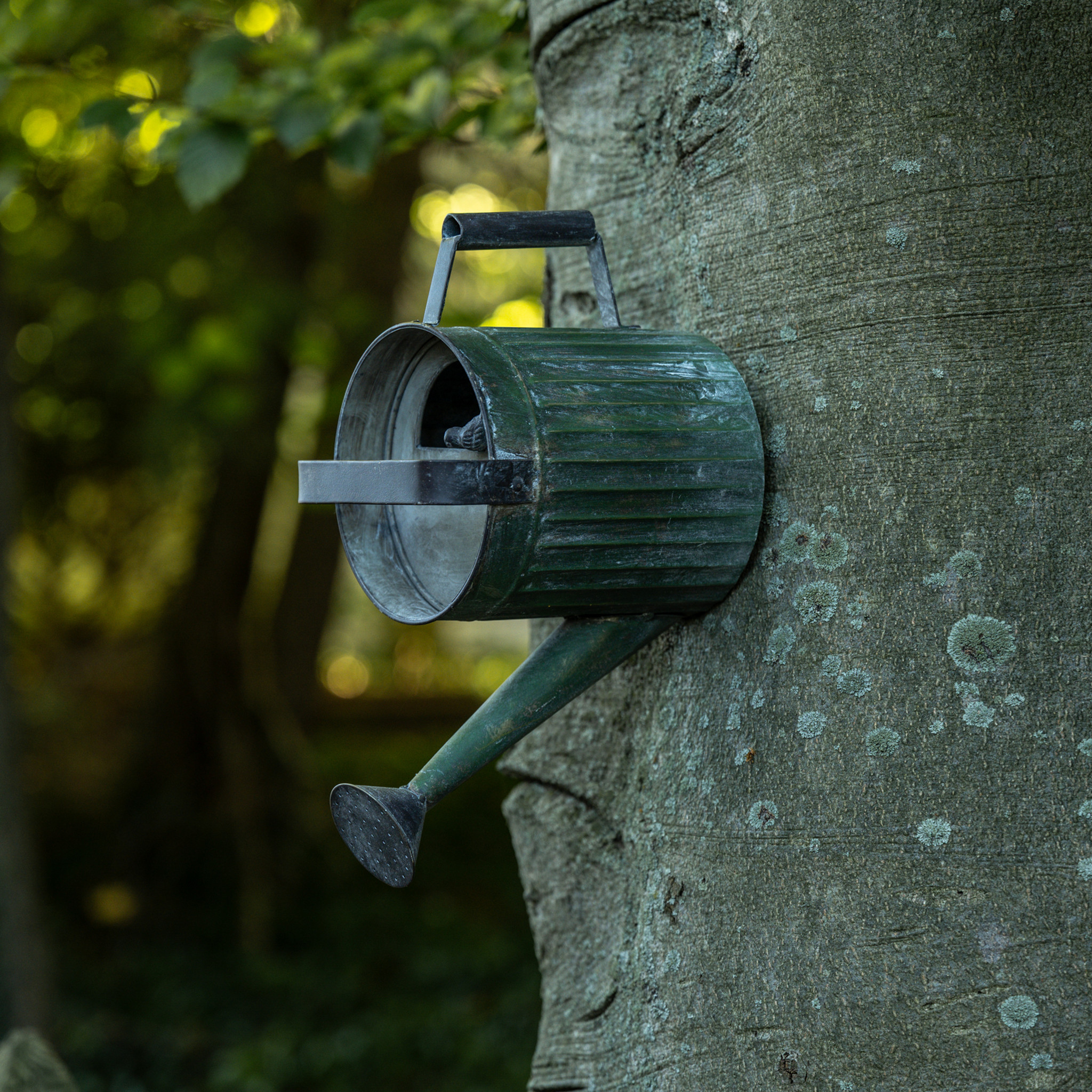 Aged Green Watering Can Wall Birdhouse