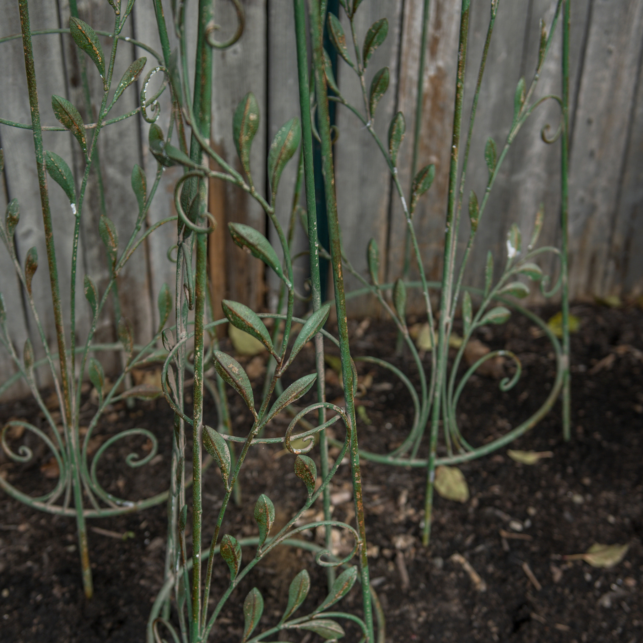 Green Leaf Trellises, Set of 3, photo 5 of 6