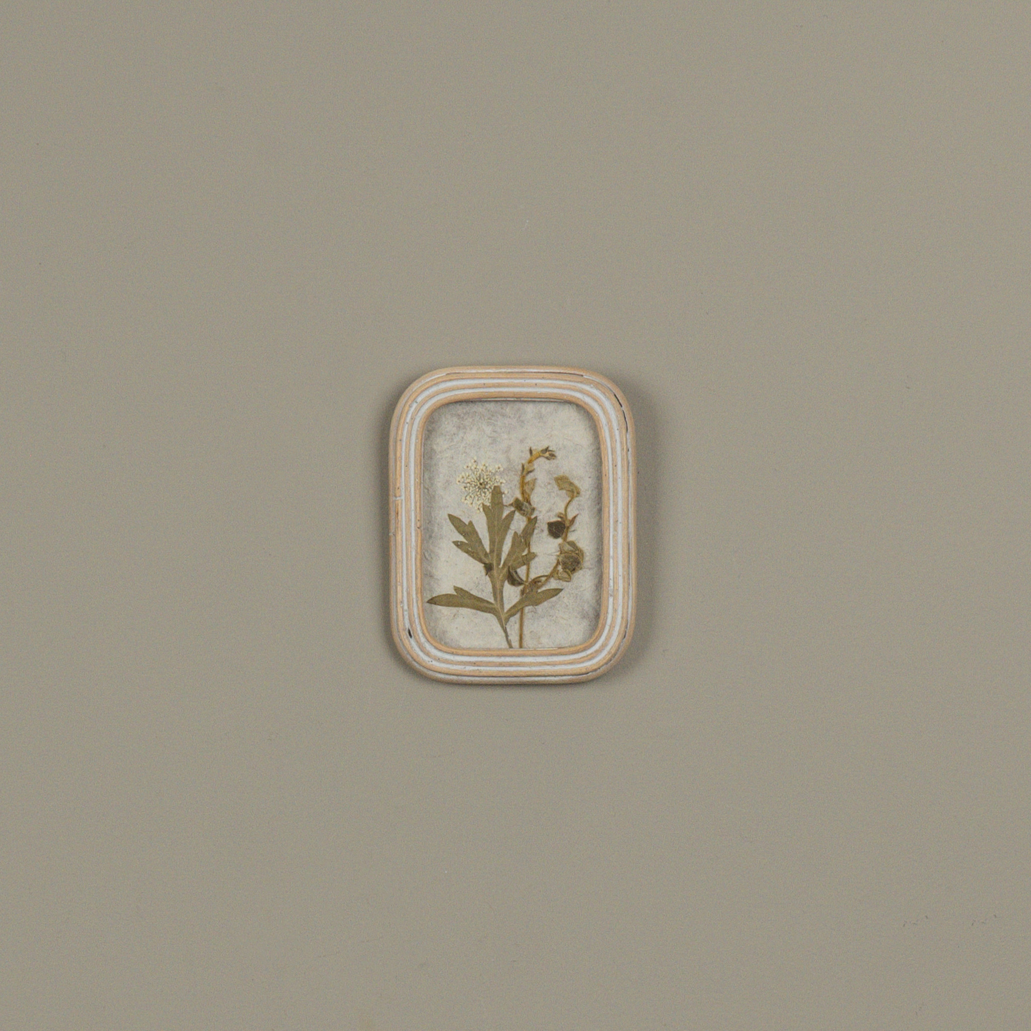 Pressed White Flower in Frame, 5.25", photo 2 of 2