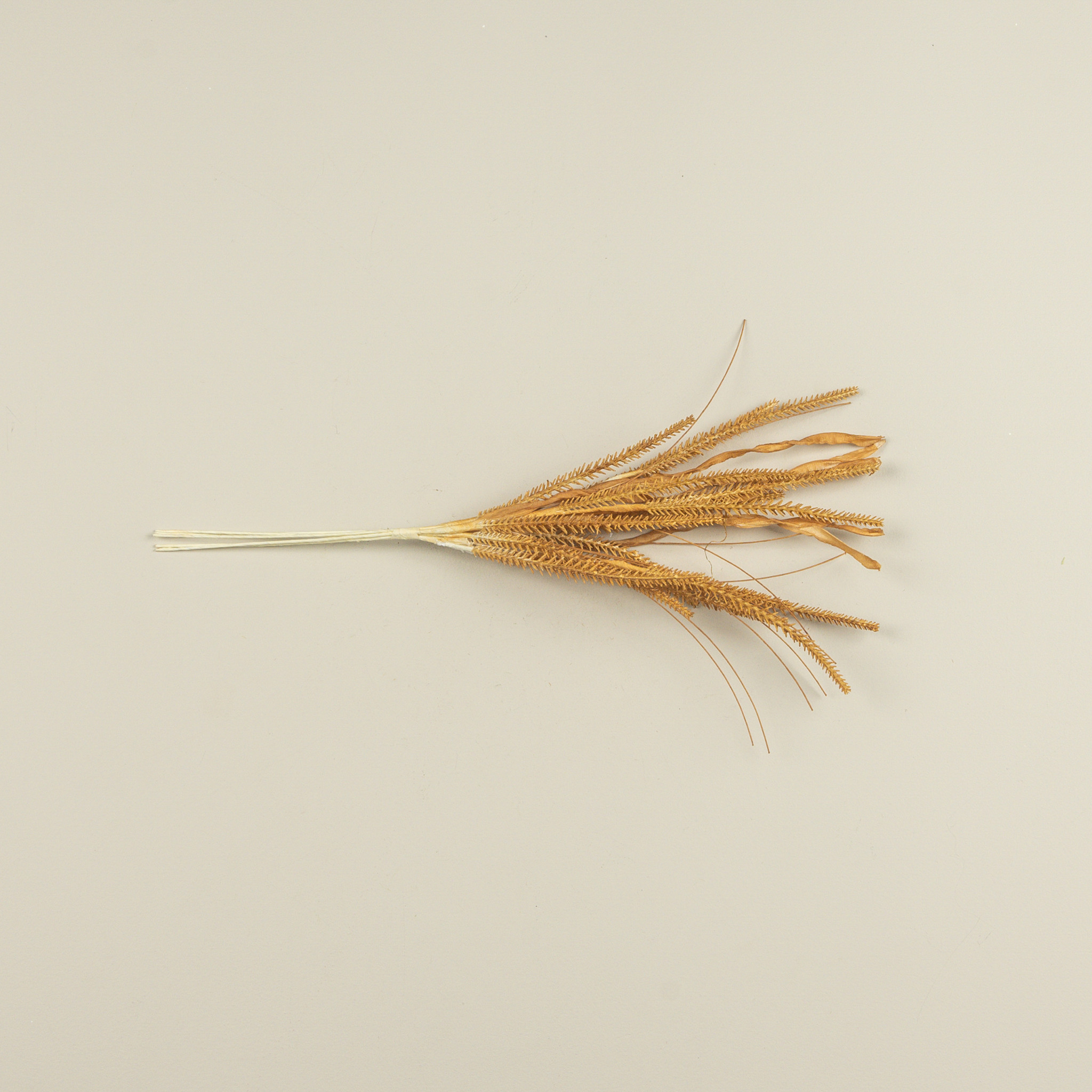 Golden Grass Spray, 19.5", photo 3 of 3