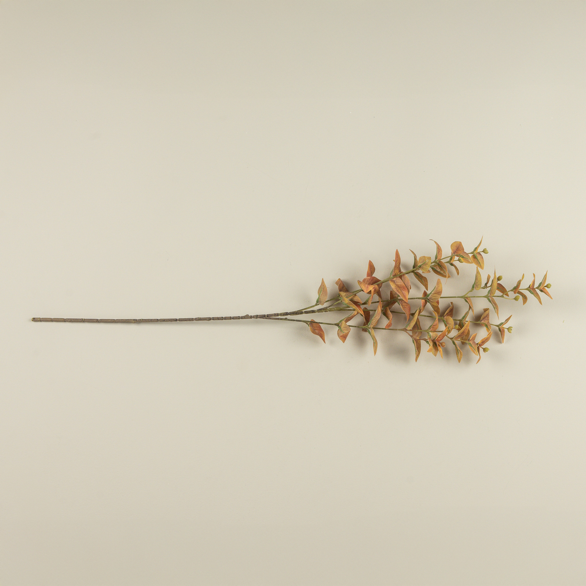 Golden Jasmine Leaf Spray, 35.5", photo 3 of 4