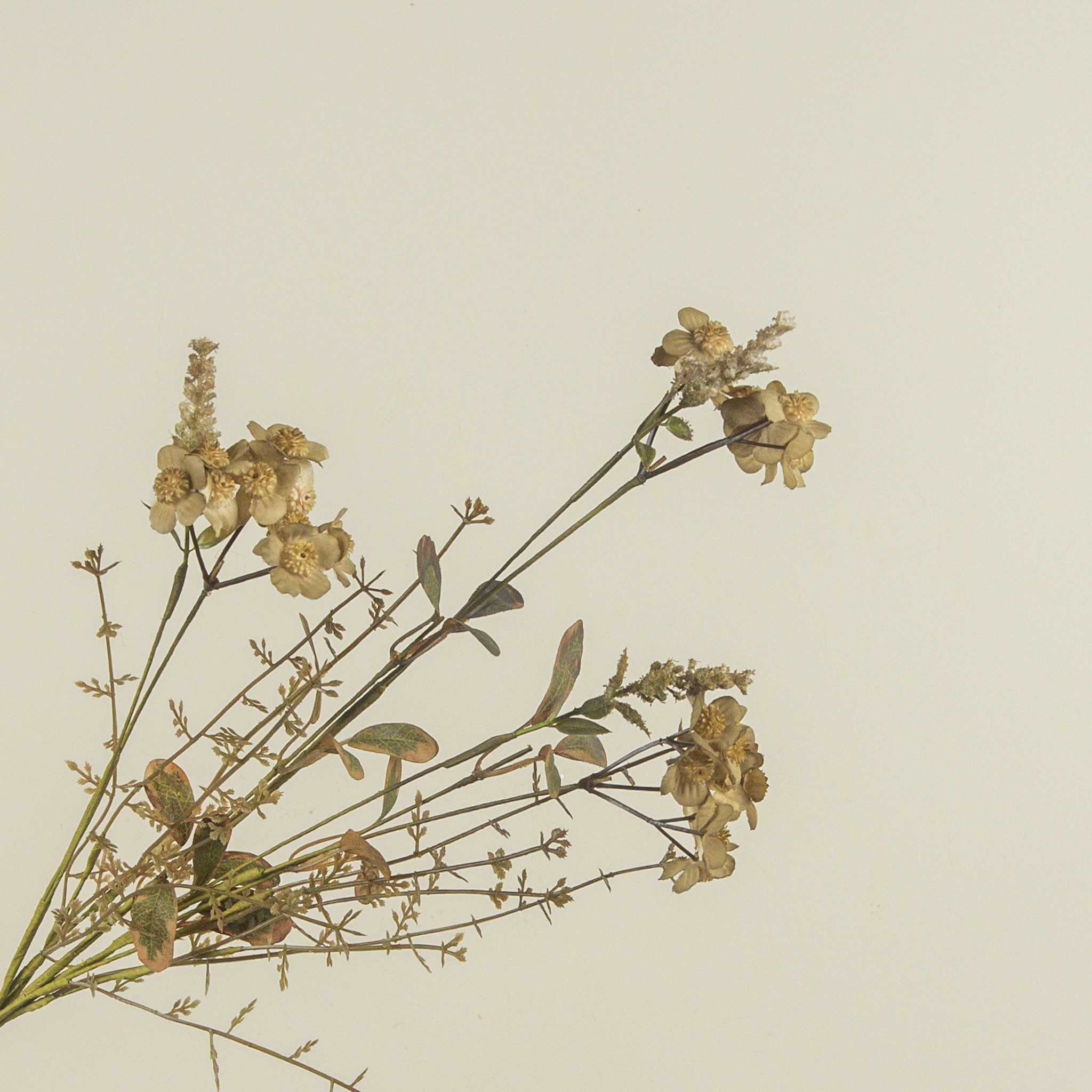 Rustic Green Wildflower Spray, 20.5", photo 2 of 4