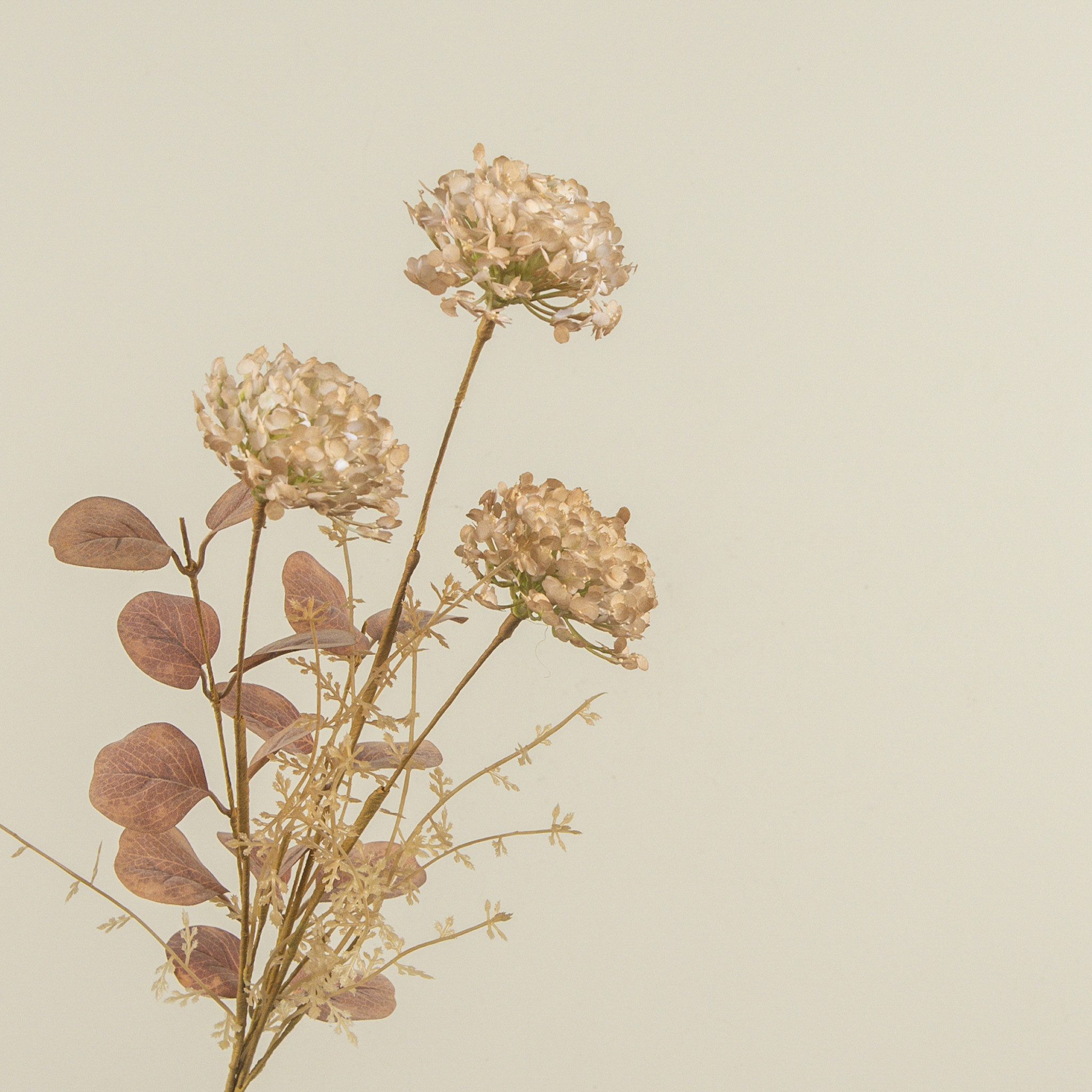 Dusty Cream Wildflower Spray, 20.5", photo 2 of 4
