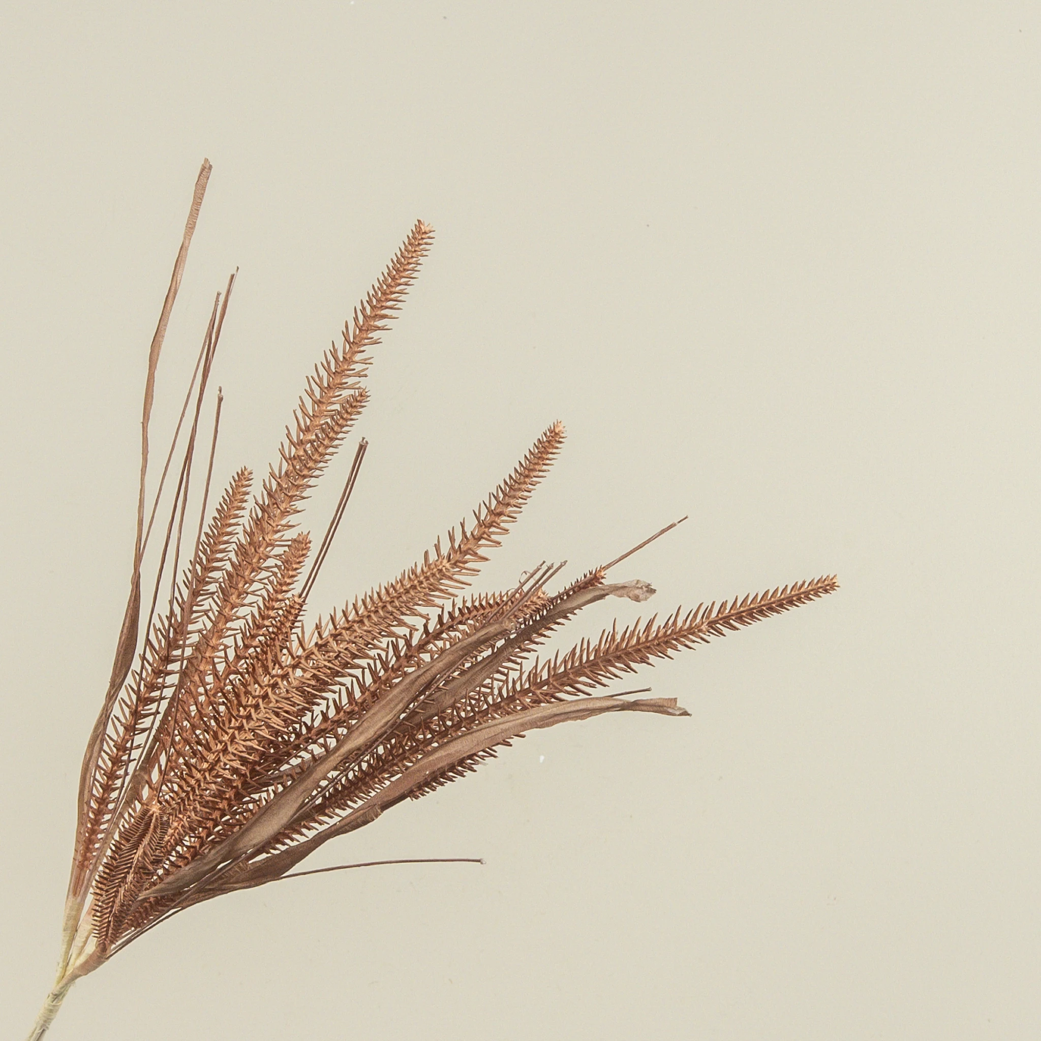 Chestnut Grass Spray, 19.5", photo 2 of 3