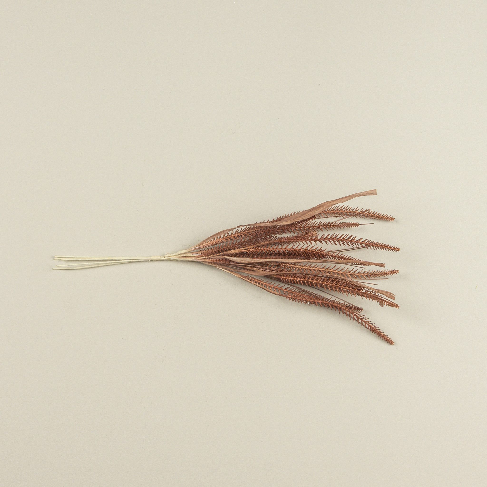 Chestnut Grass Spray, 19.5", photo 3 of 3