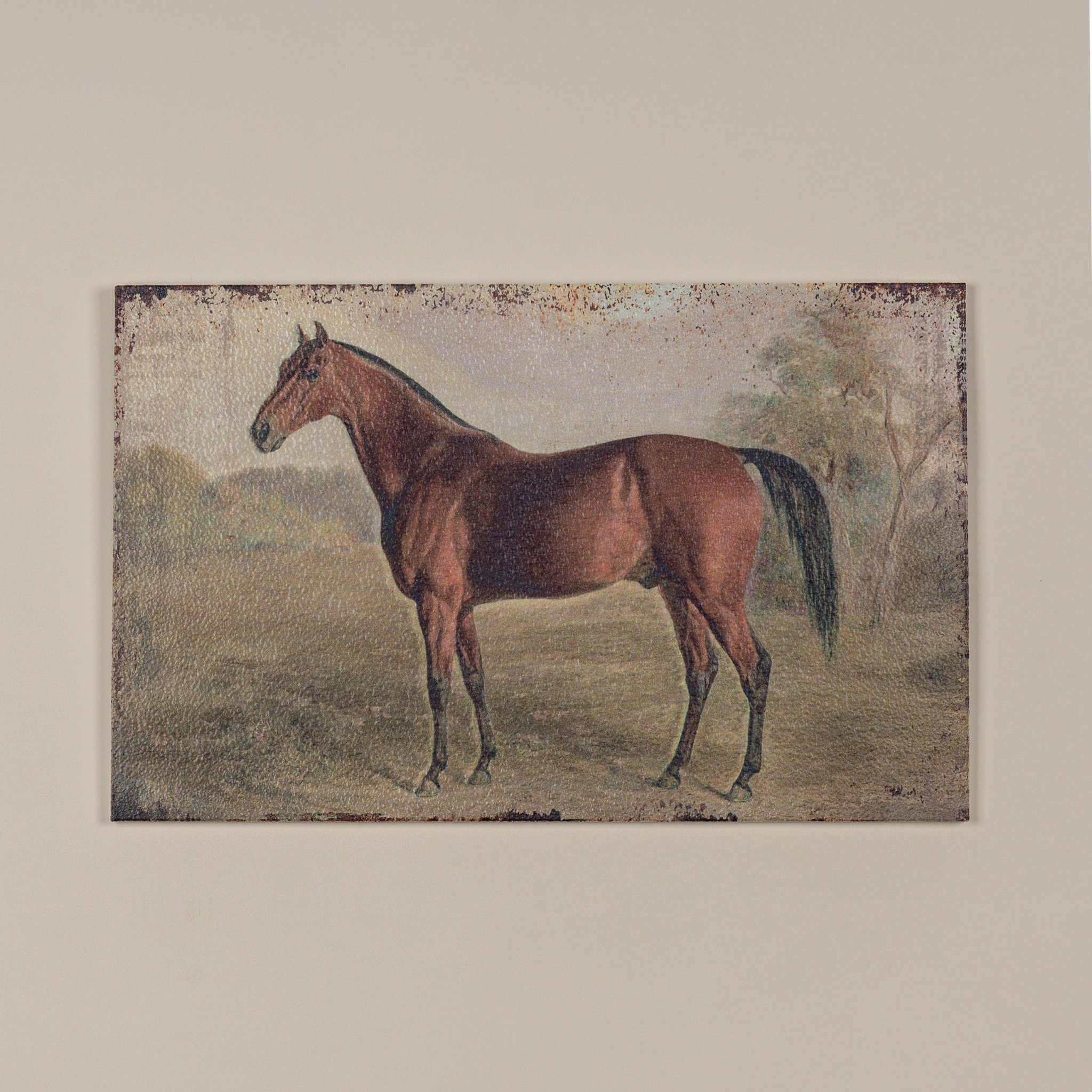 Horse Print, 22"