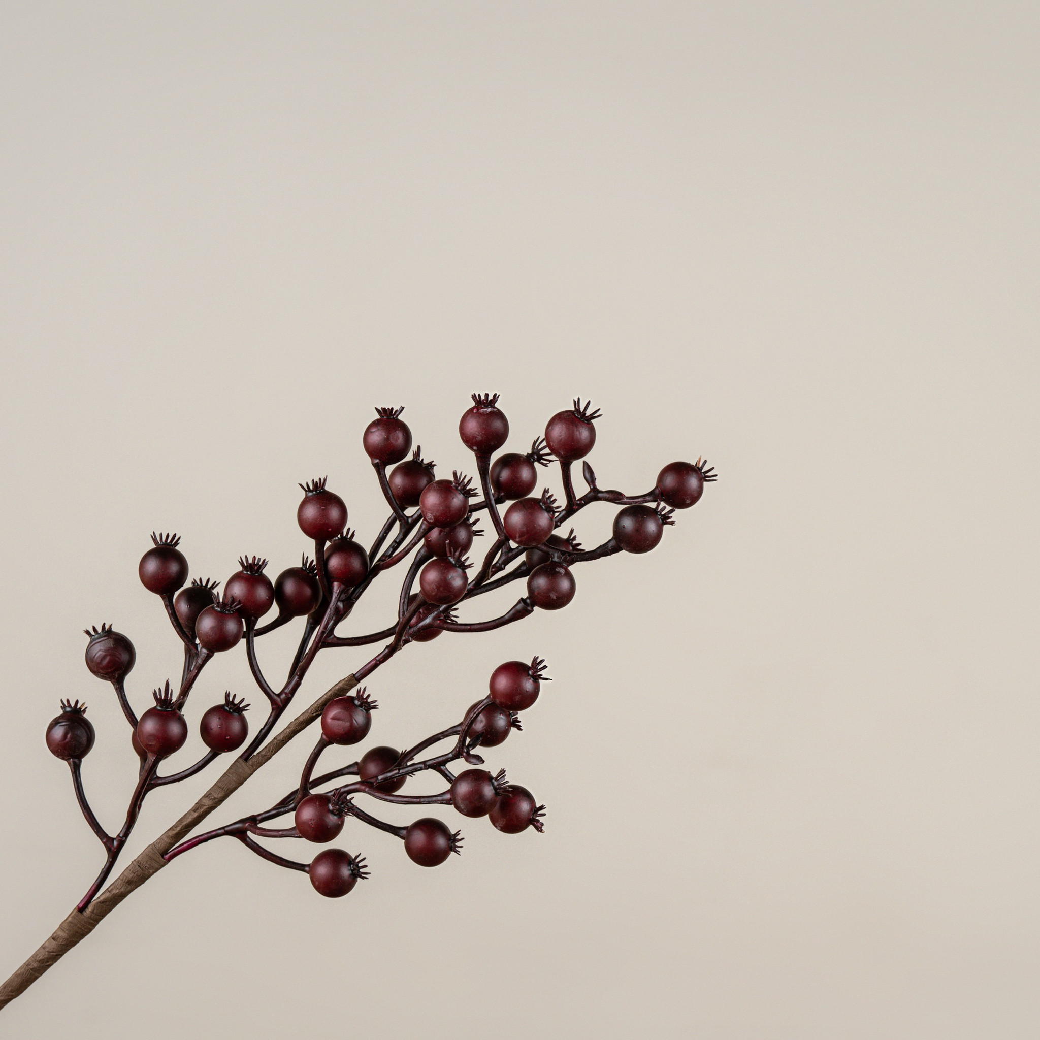 Burgundy Berry Pick, 16", photo 3 of 4