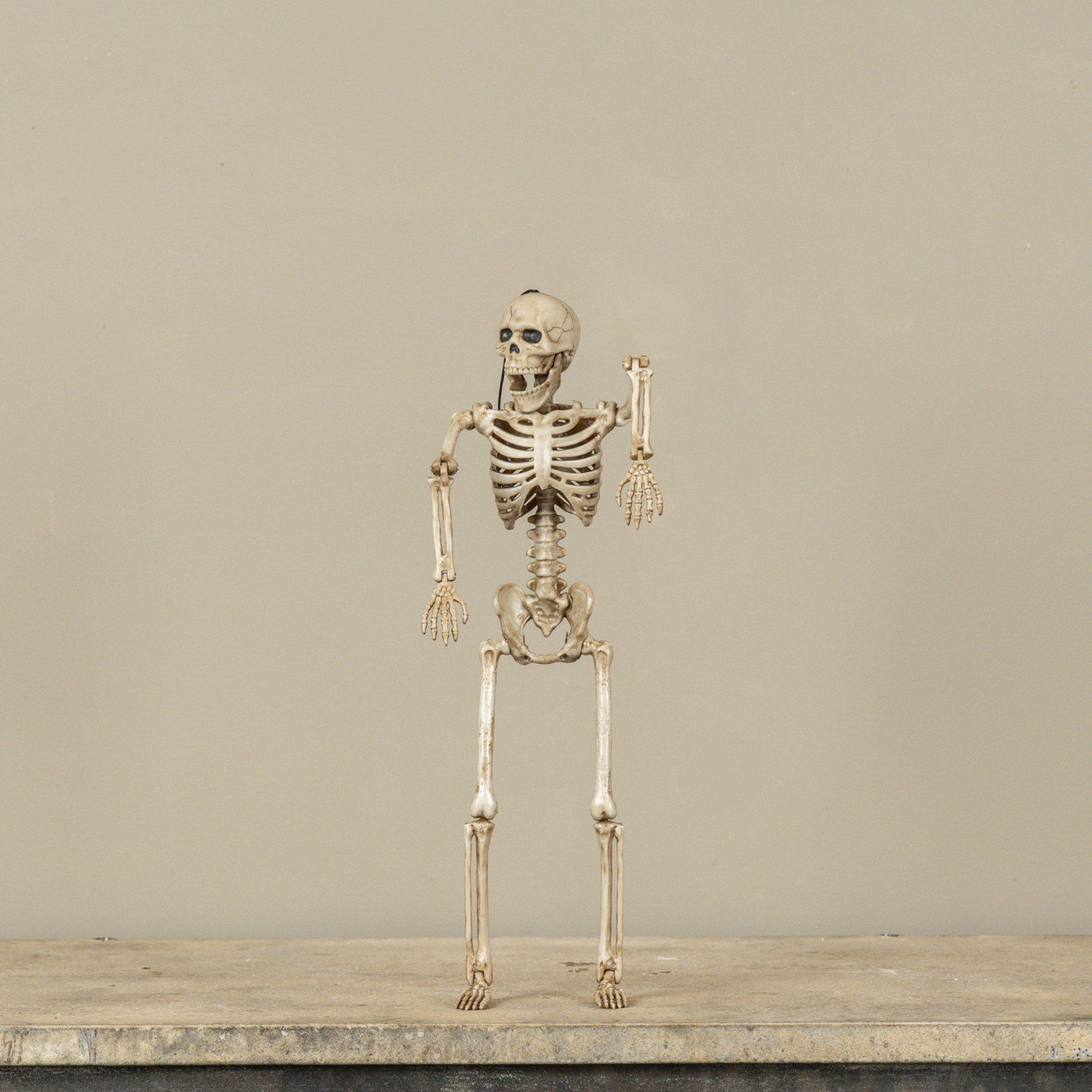 Poseable Skeleton, photo 2 of 2