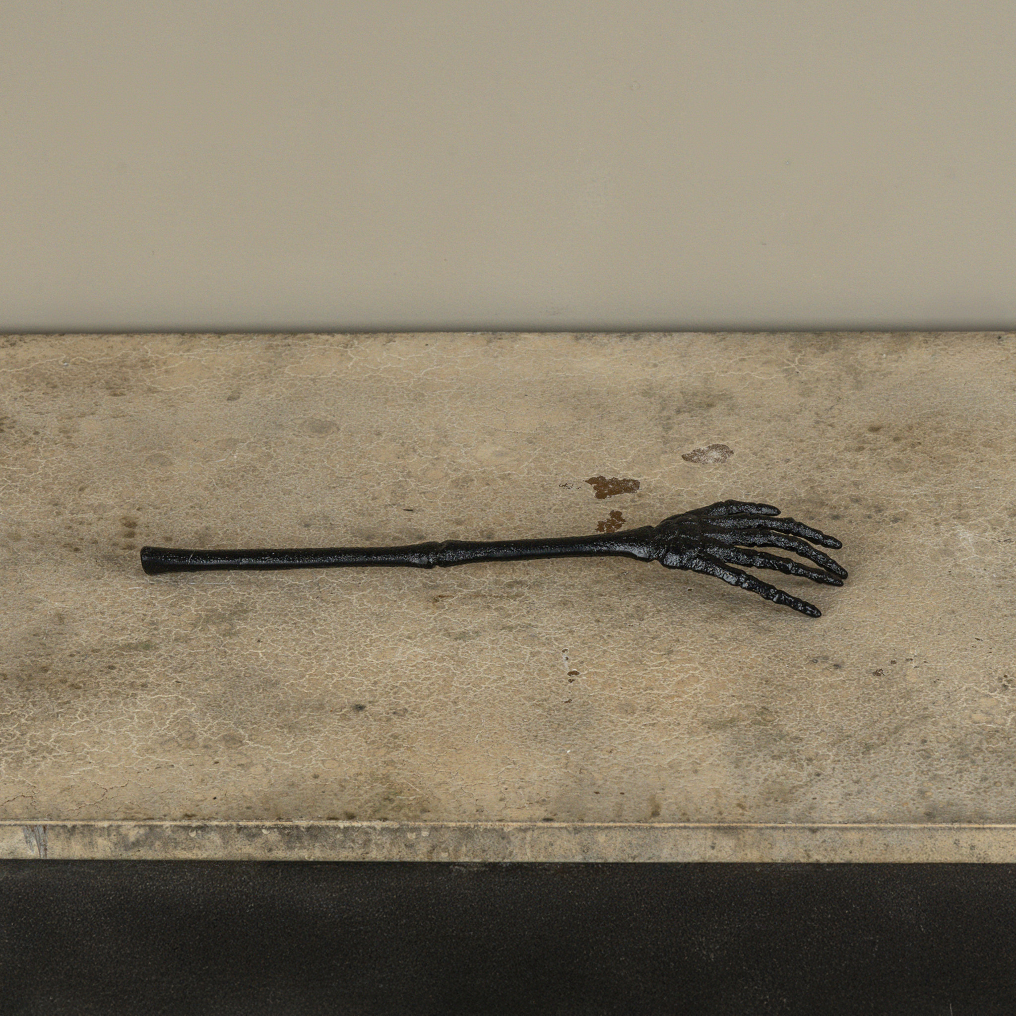 Skeleton Arm, photo 2 of 2