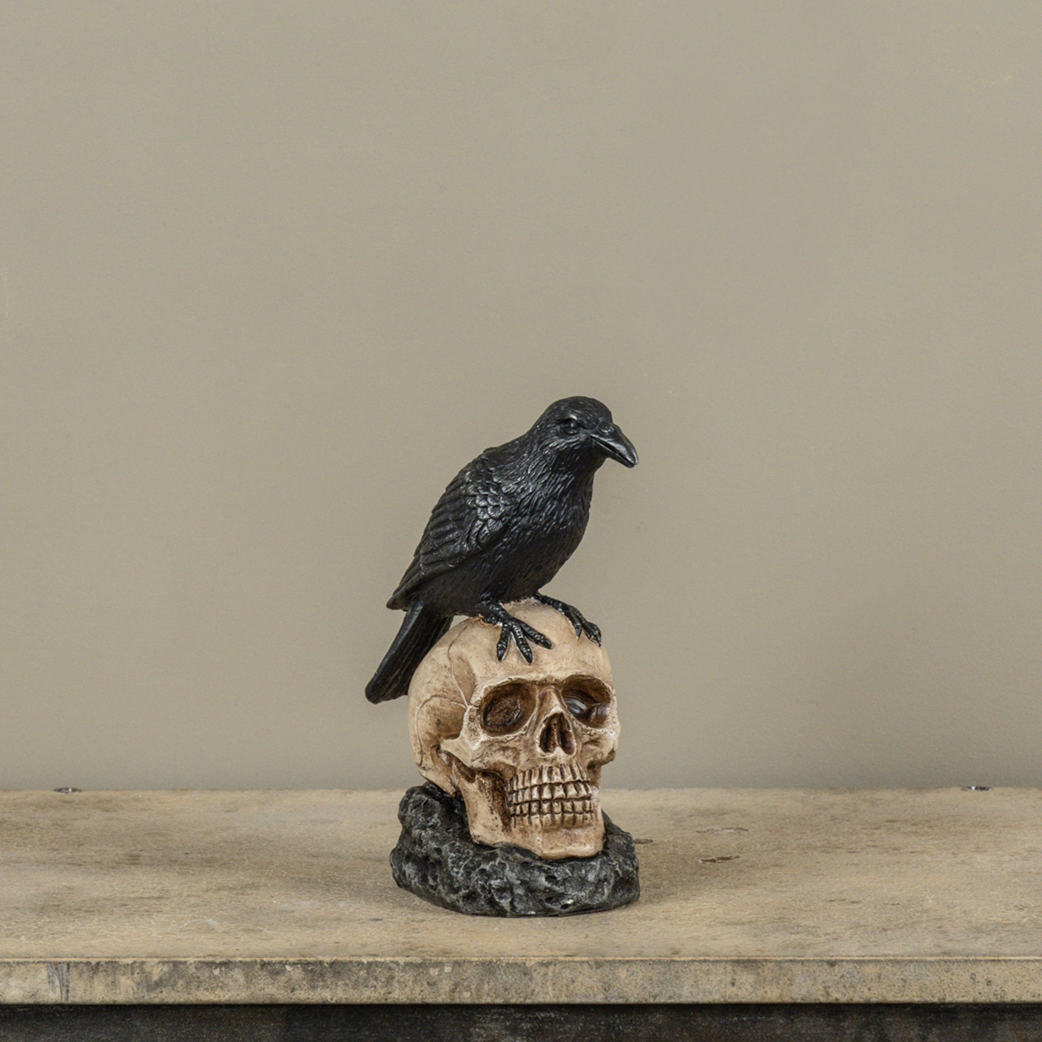 Raven on Skull Statue, photo 2 of 2