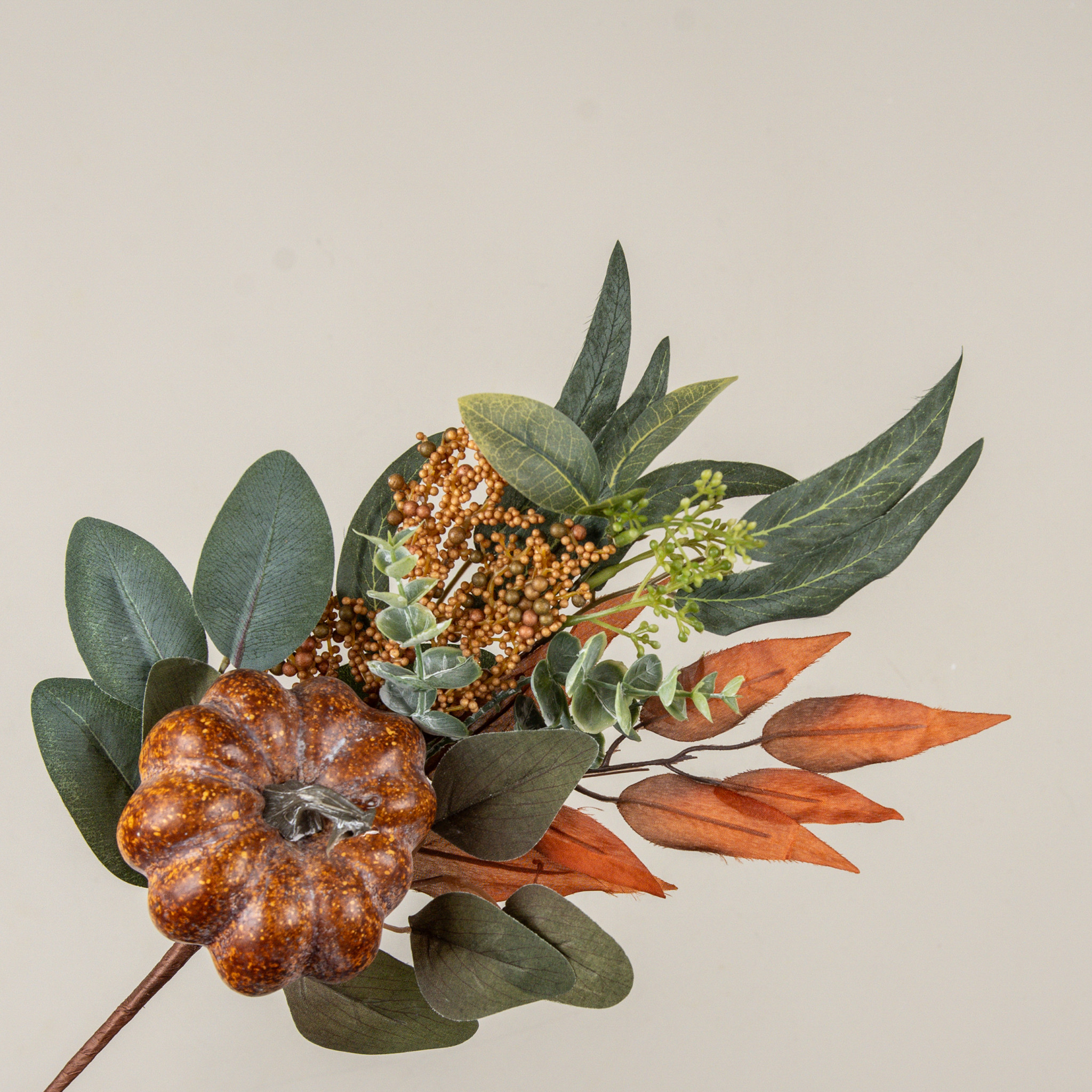 Pumpkin & Eucalyptus Pick, 20", photo 2 of 6