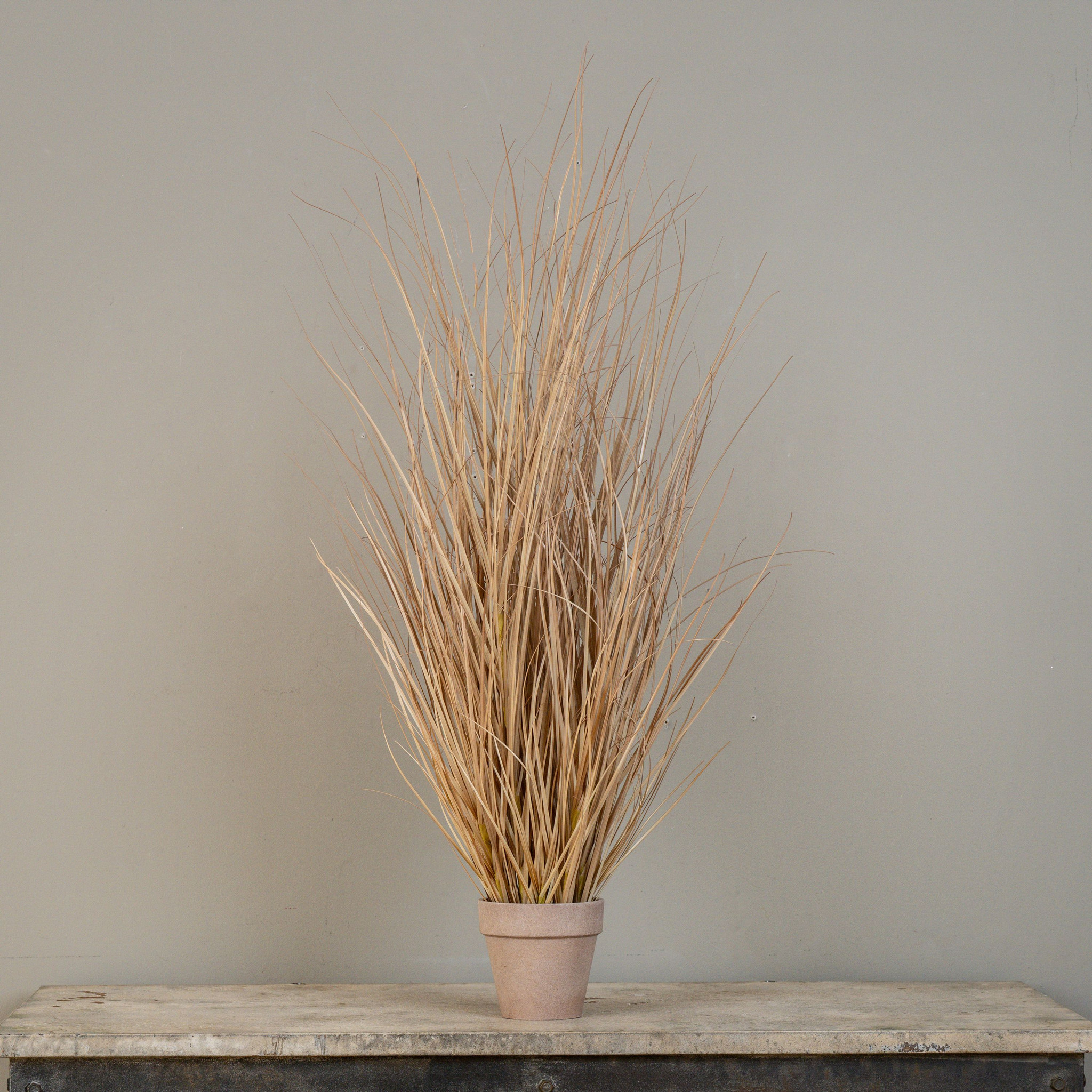 Tan Grass in Pot, 35", photo 2 of 2