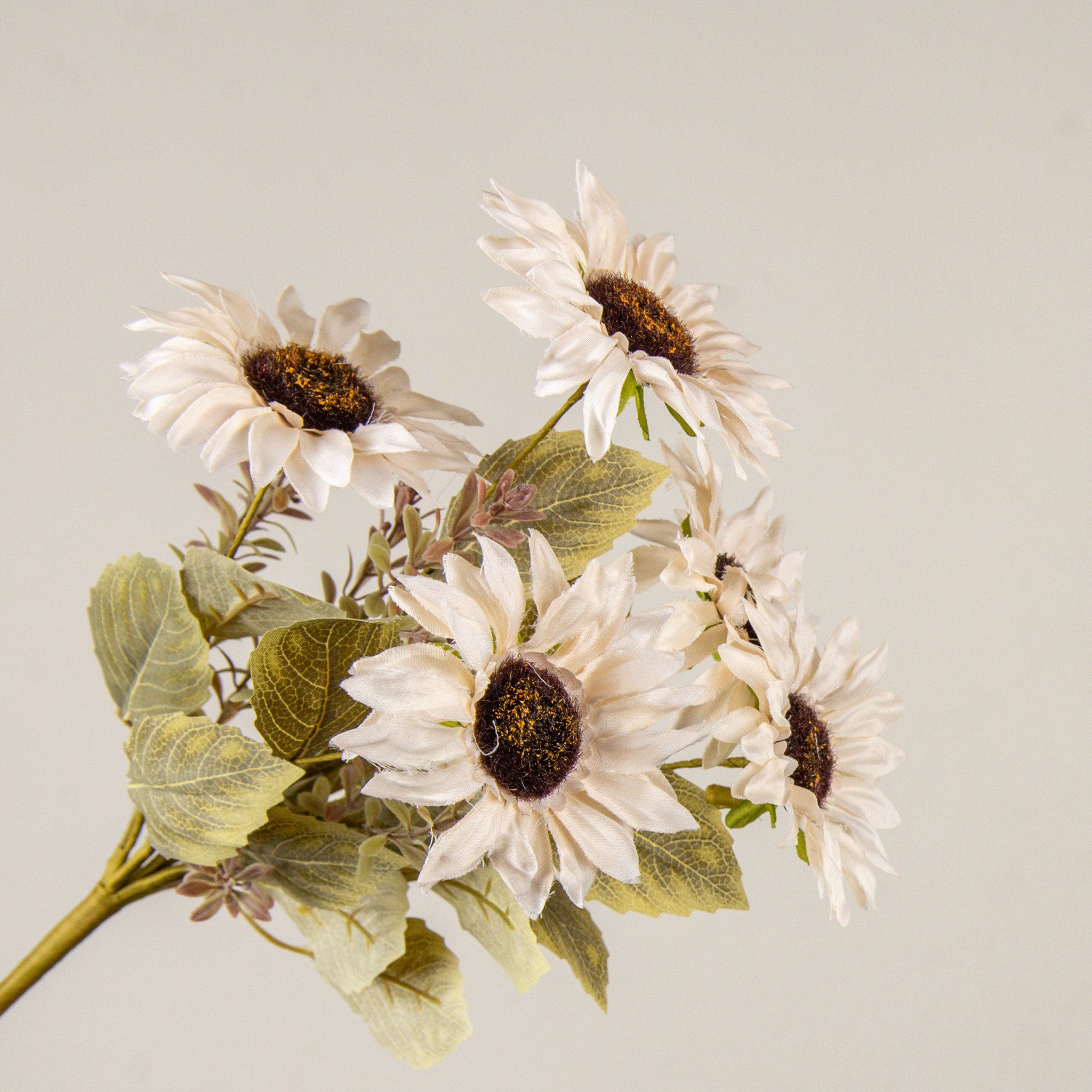 Cream Sunflower Bush, 17", photo 2 of 4