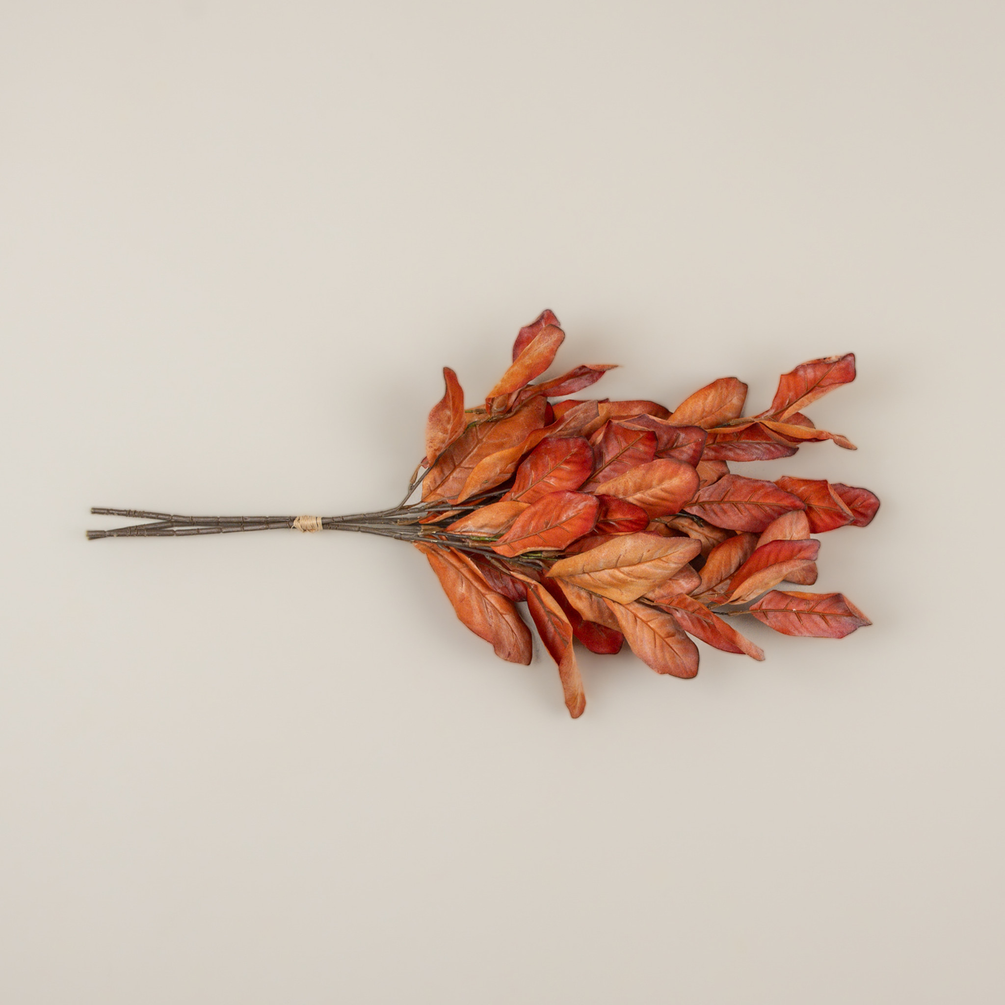Dried Orange Magnolia Leaves Bundle, 26", photo 3 of 5