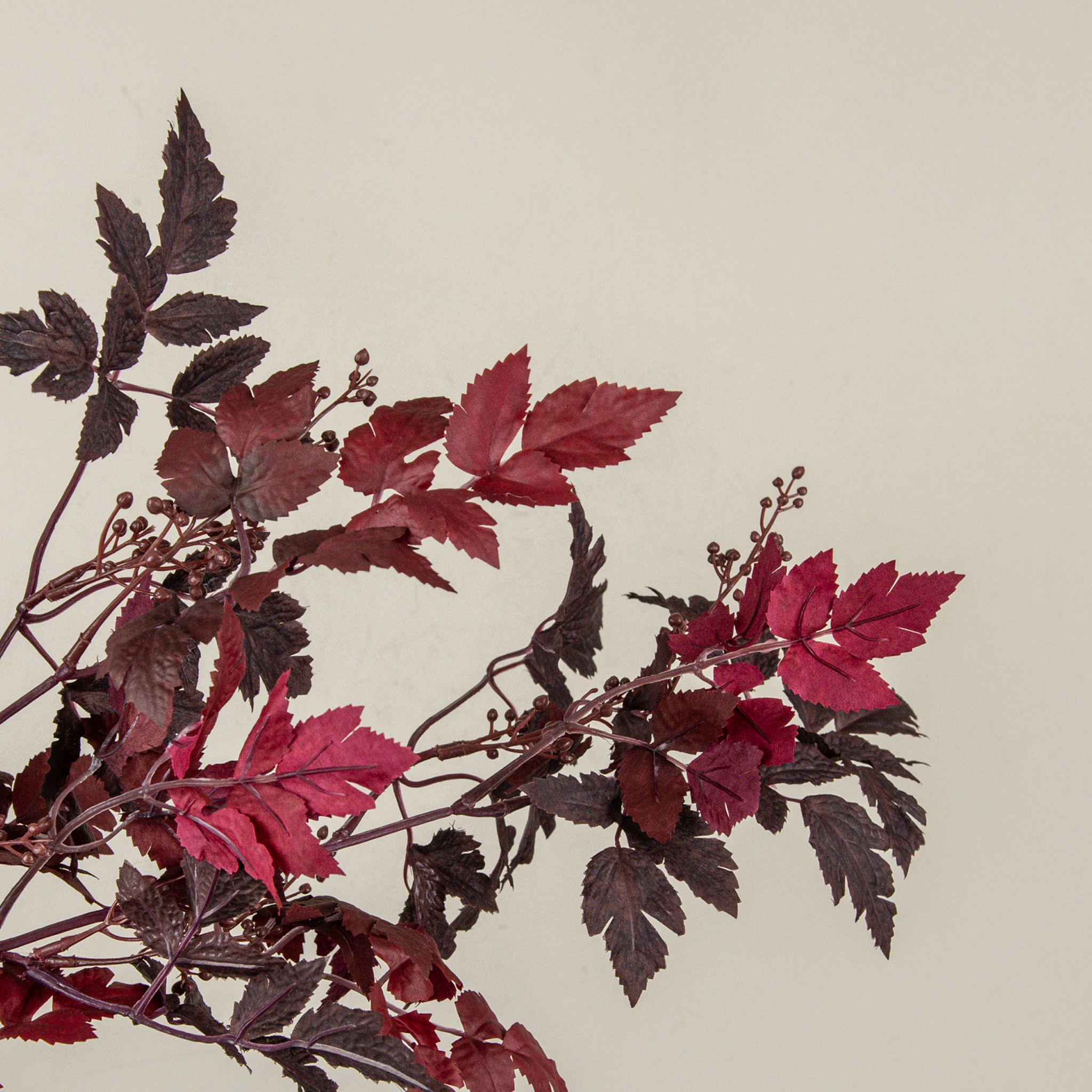 Burgundy Berry & Bugbane Leaf Spray, 35", photo 2 of 4