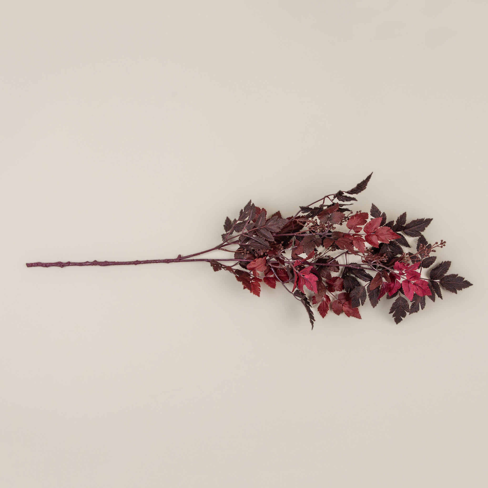 Burgundy Berry & Bugbane Leaf Spray, 35", photo 3 of 4