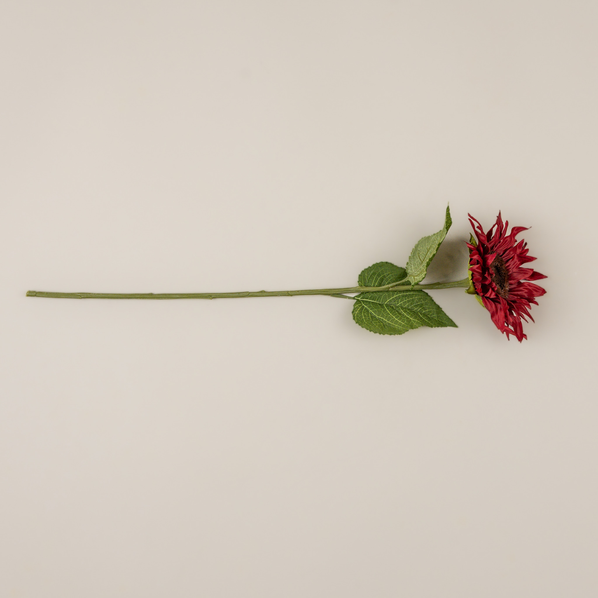 Burgundy Sunflower Stem, 29", photo 3 of 4