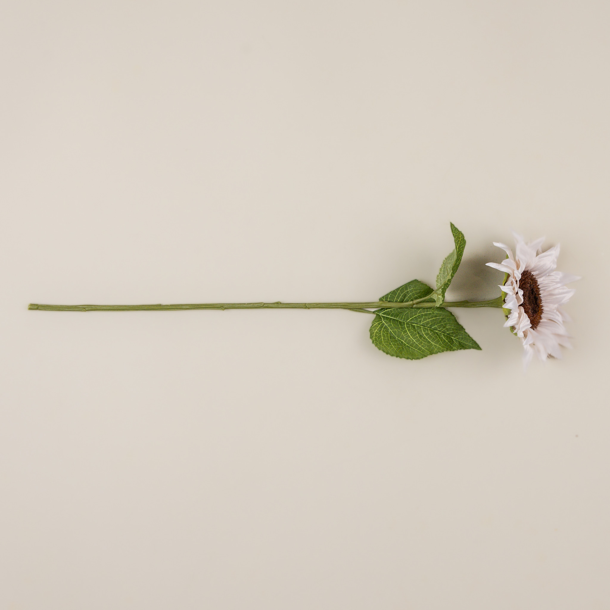 Ivory Sunflower Stem, 29", photo 3 of 4