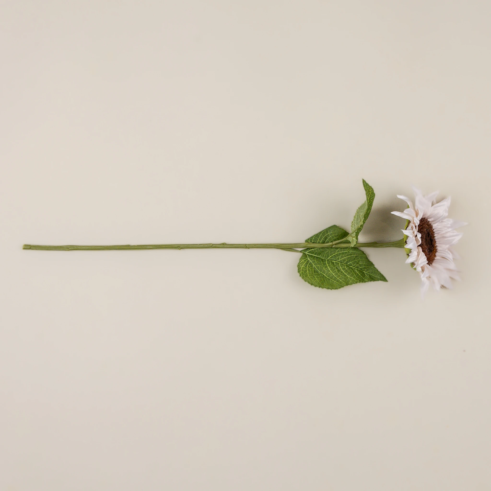 Ivory Sunflower Stem, 29", photo 3 of 4