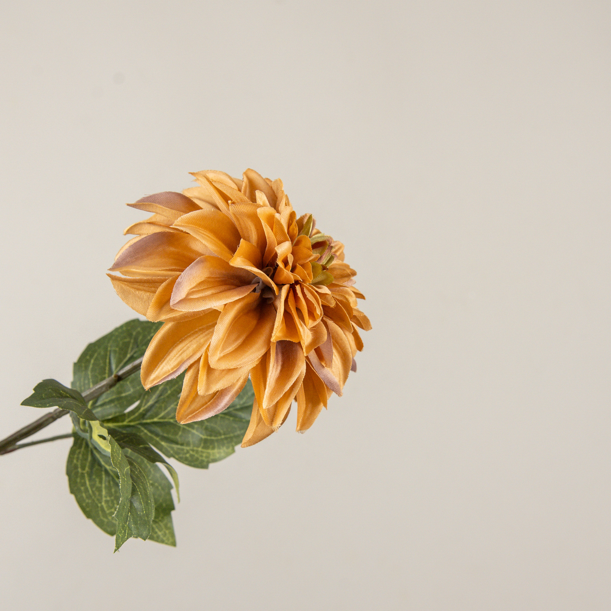 Mustard Dahlia Stem, 24.5", photo 2 of 4