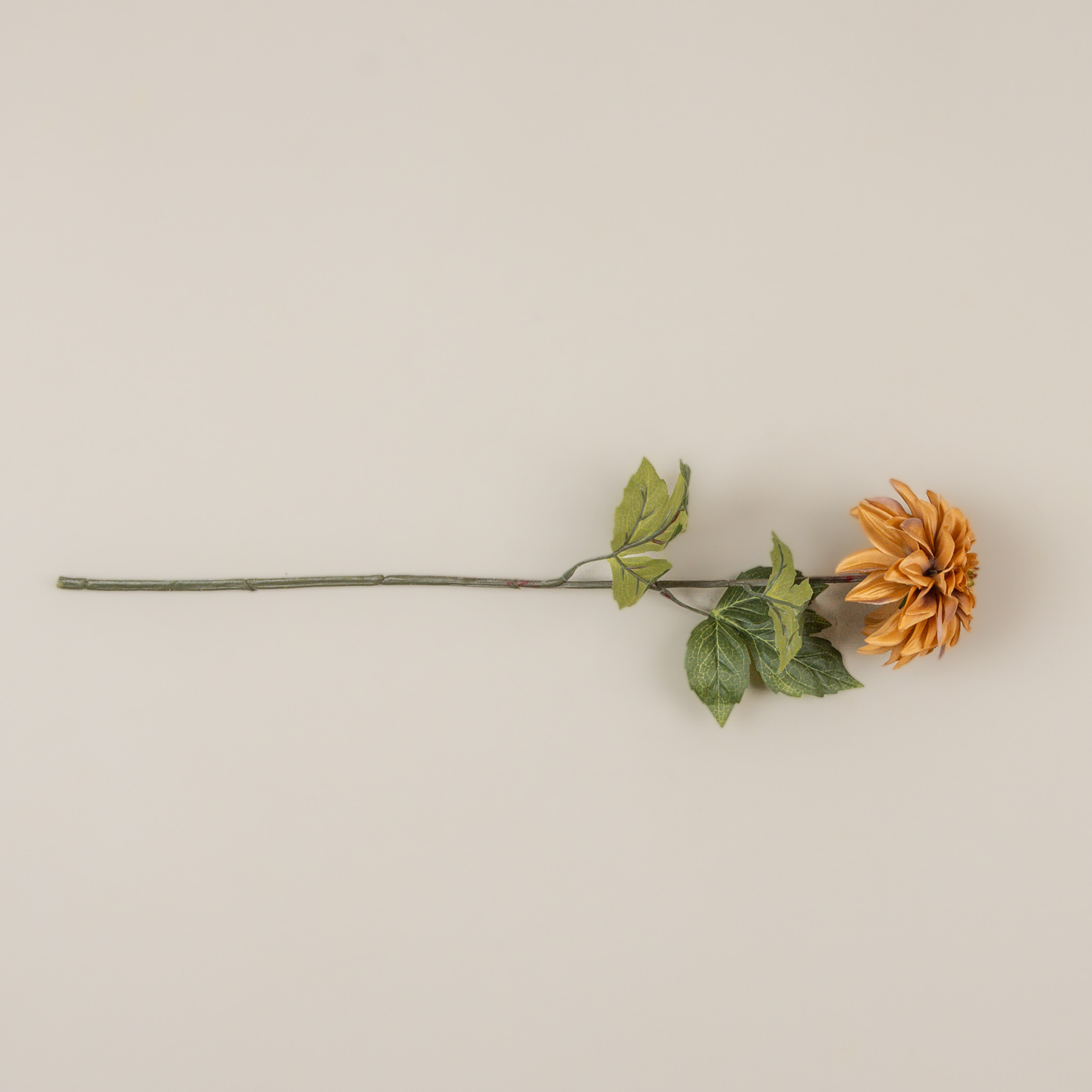 Mustard Dahlia Stem, 24.5", photo 3 of 4