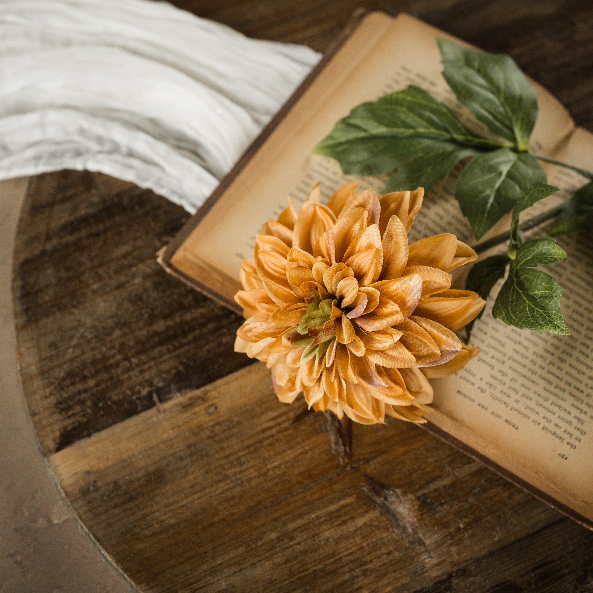 Mustard Dahlia Stem, 24.5"