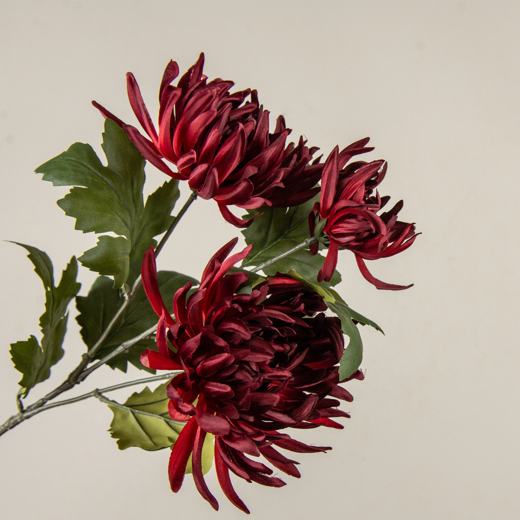 Burgundy Mum Spray, 26", photo 2 of 4