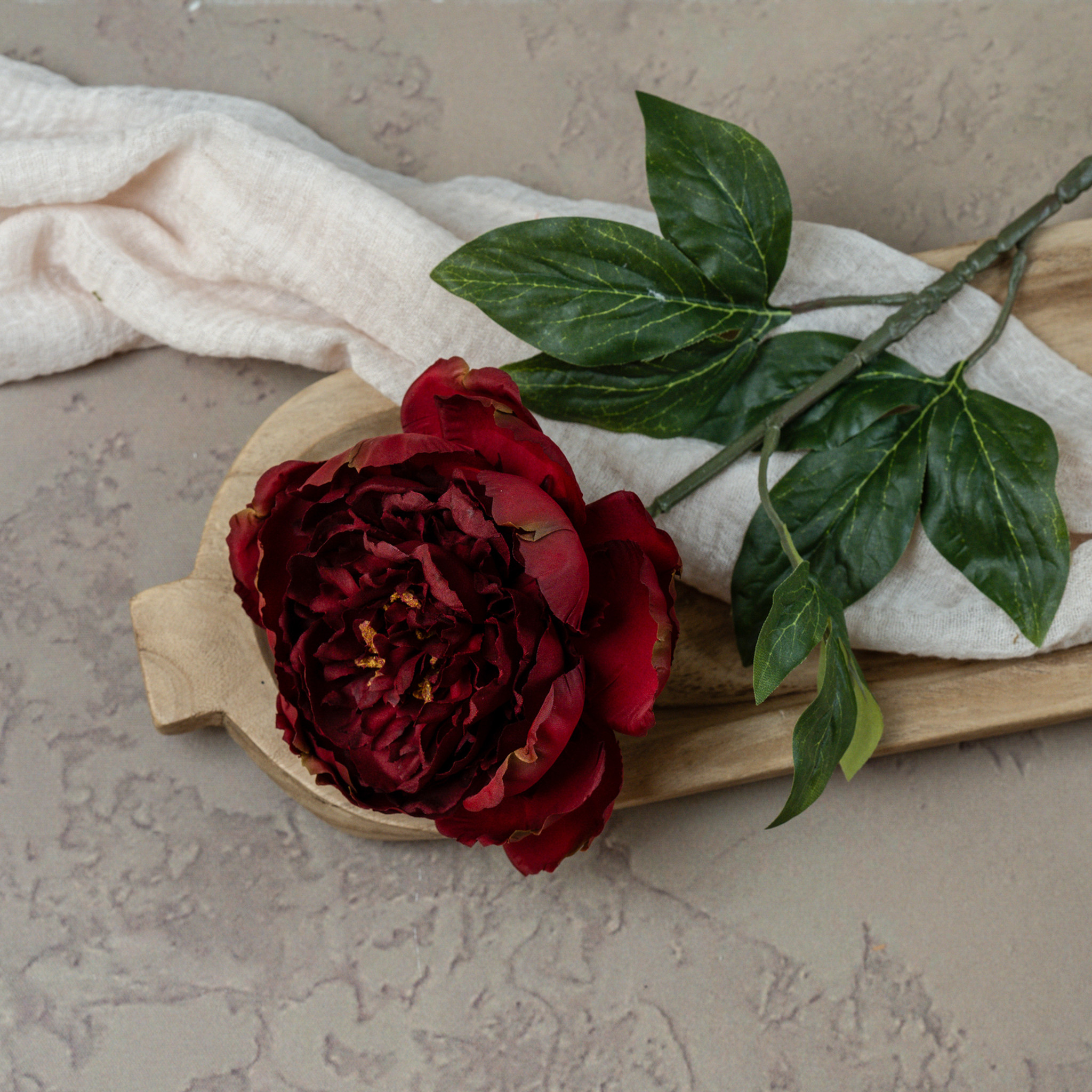 Burgundy Peony Stem, 28"