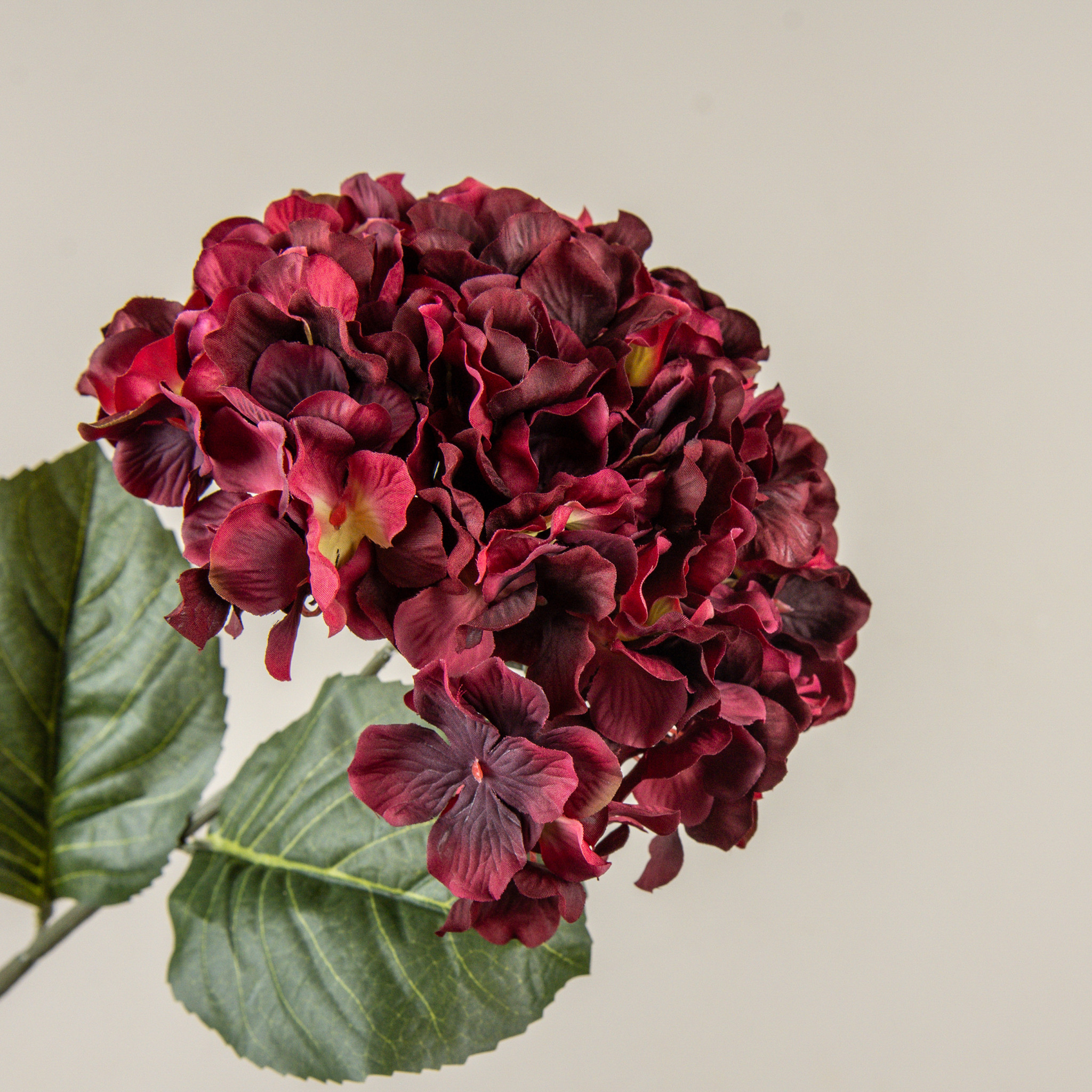 Burgundy Hydrangea Stem, 27", photo 2 of 4