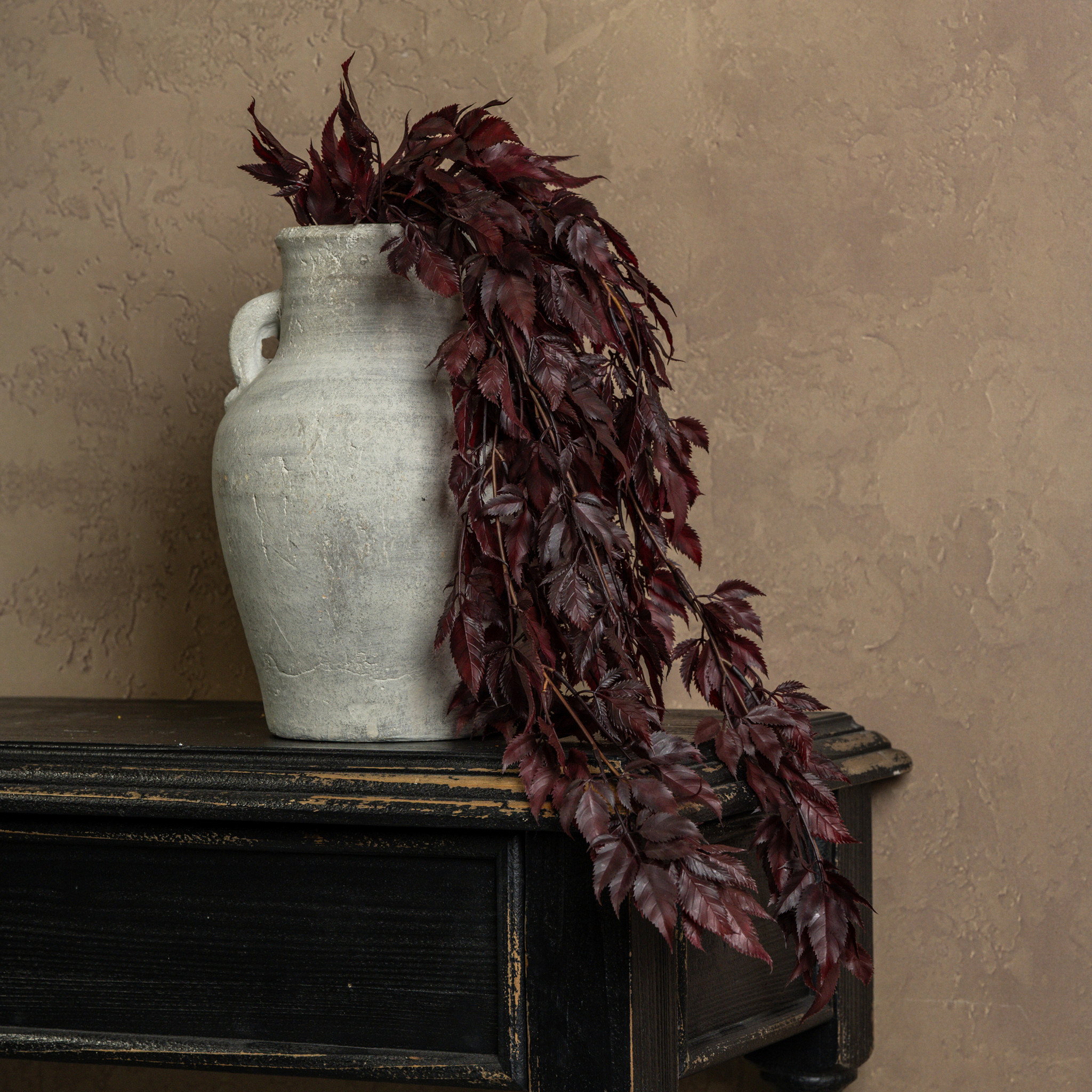 Burgundy Spikenard Hanging Bush, 30", photo 4 of 5