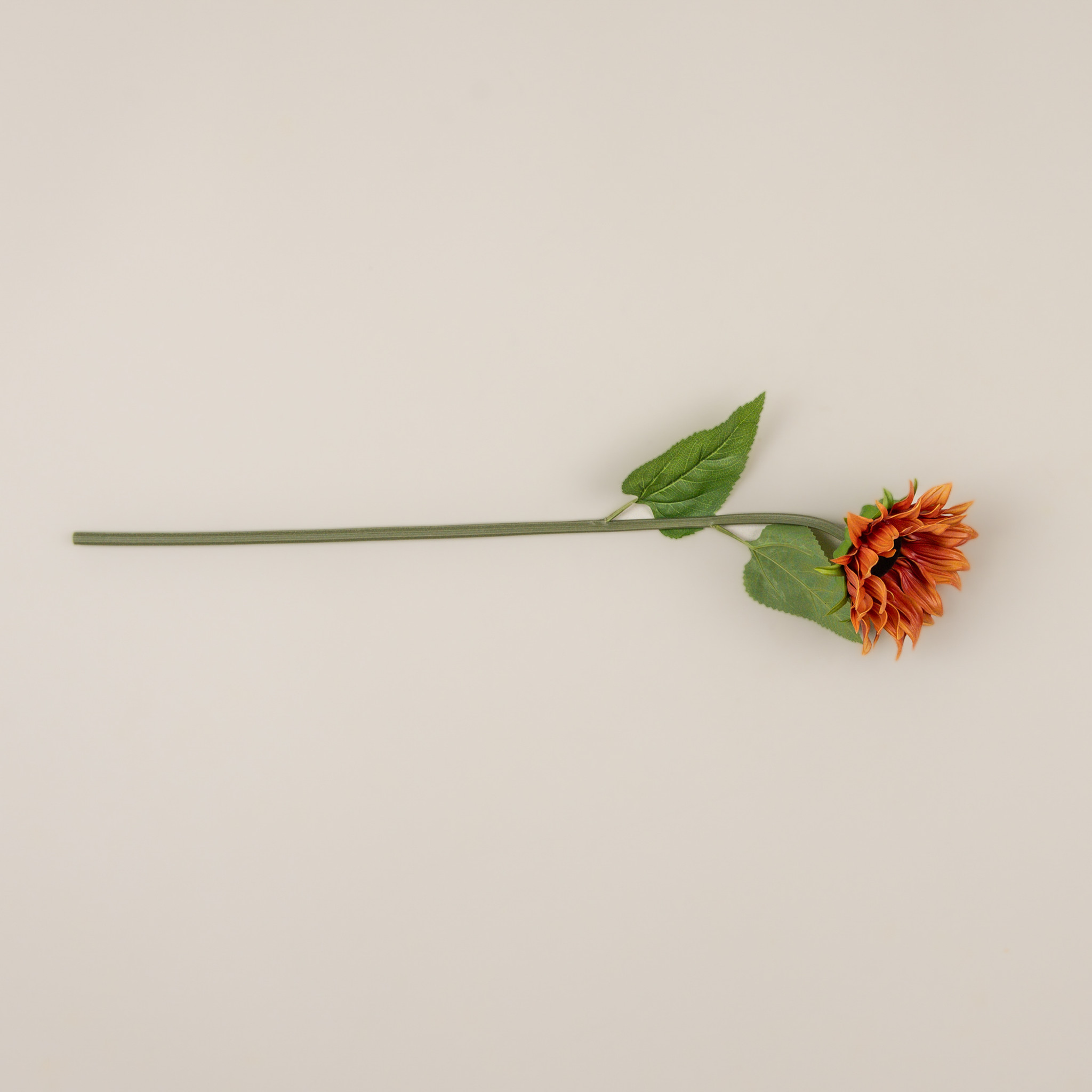 Orange Sunflower Stem, 28.5", photo 3 of 3