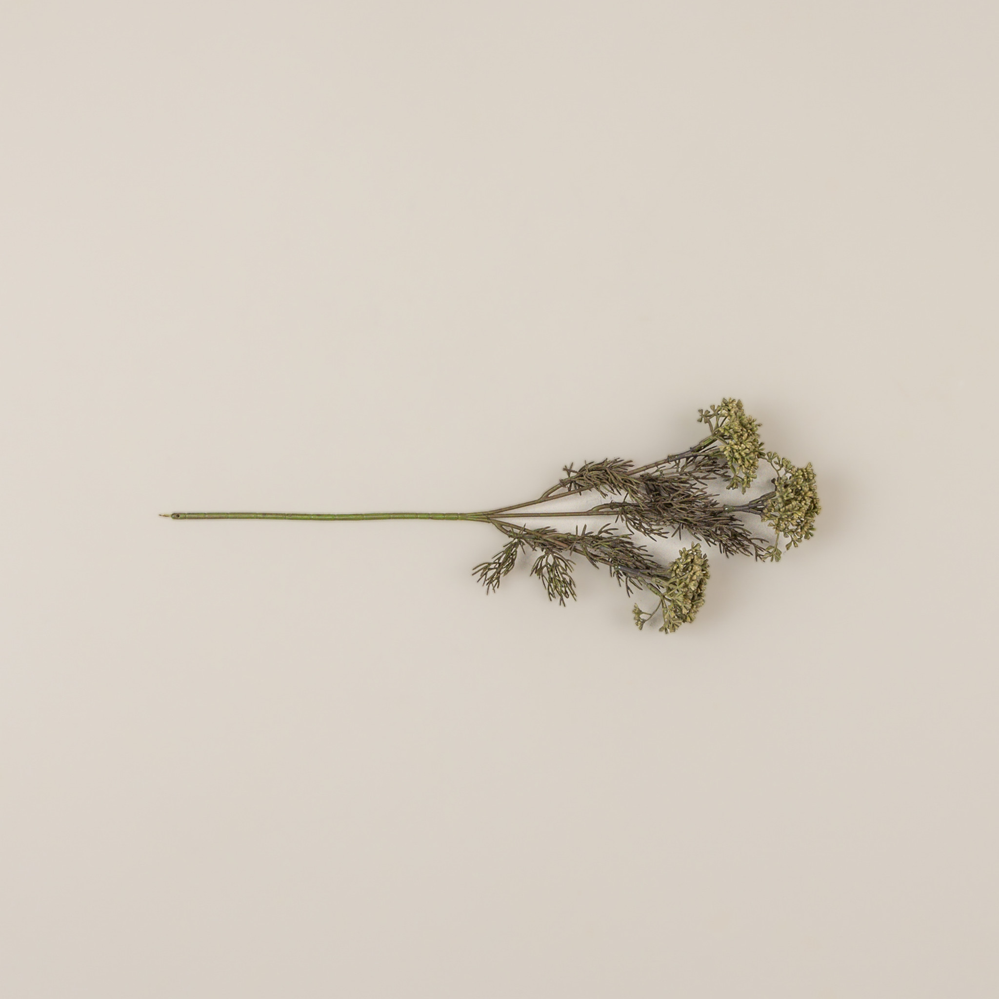 Green Yarrow Pick, 17", photo 3 of 4