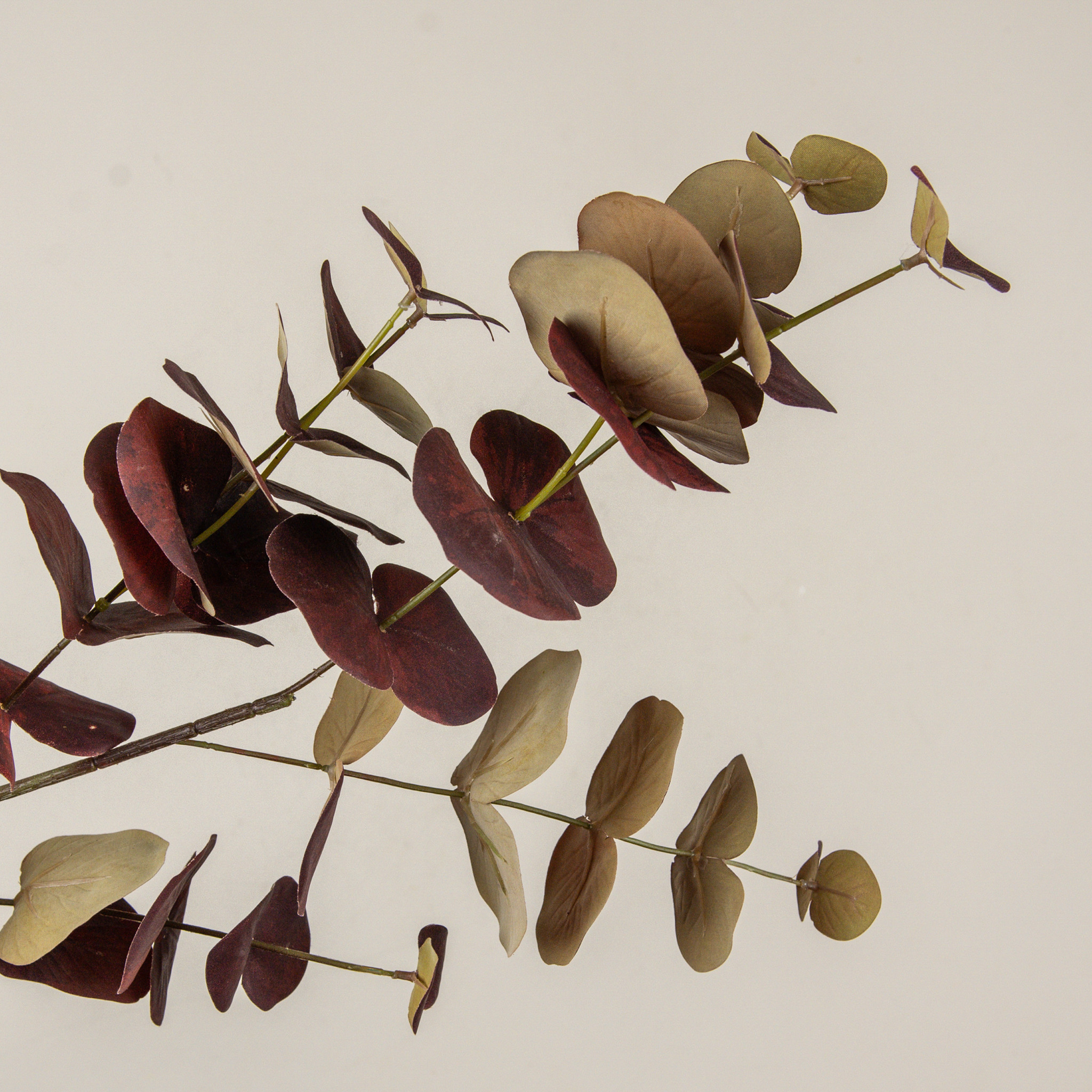 Burgundy Eucalyptus Stem, 39", photo 2 of 5