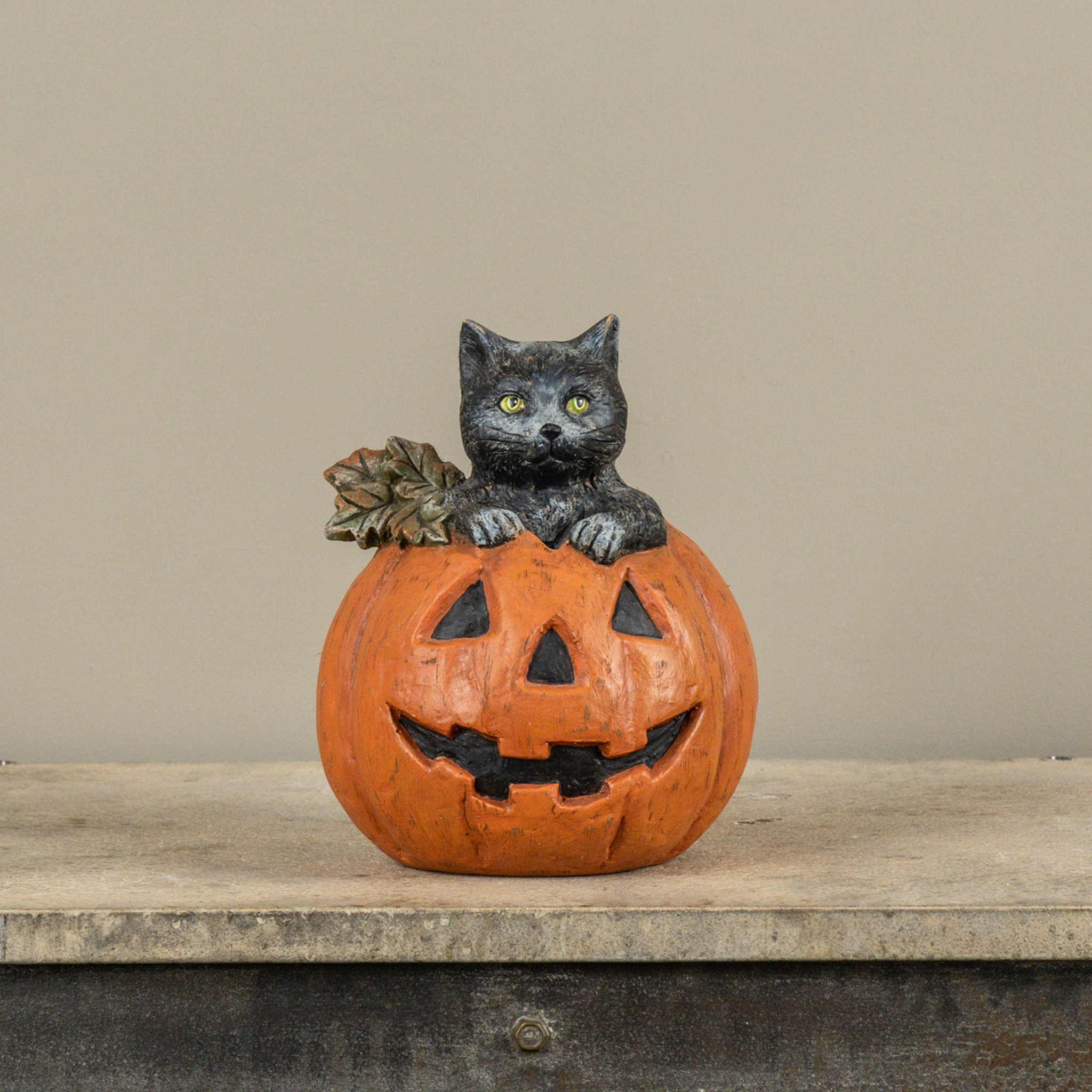 Black Cat in Jack-0-Lantern, photo 3 of 3