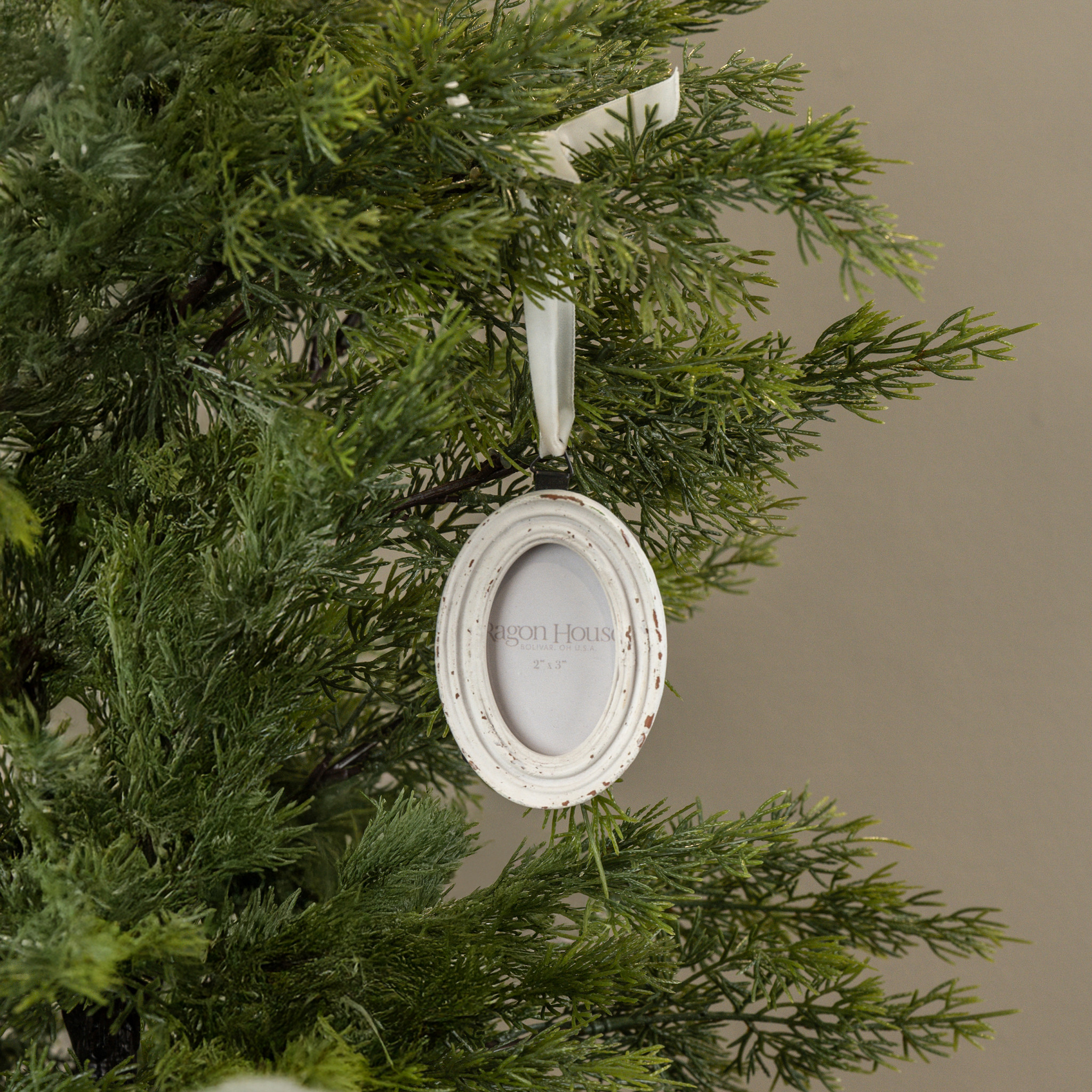 White Oval Frame Ornament